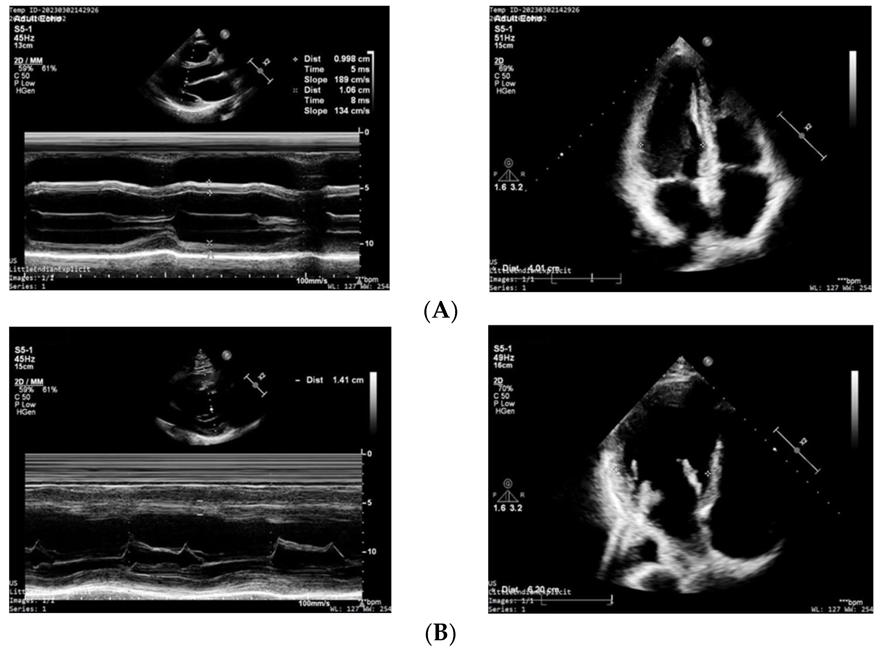 Jcdd 10 00122 g002 Jcdd 10 00122 g002