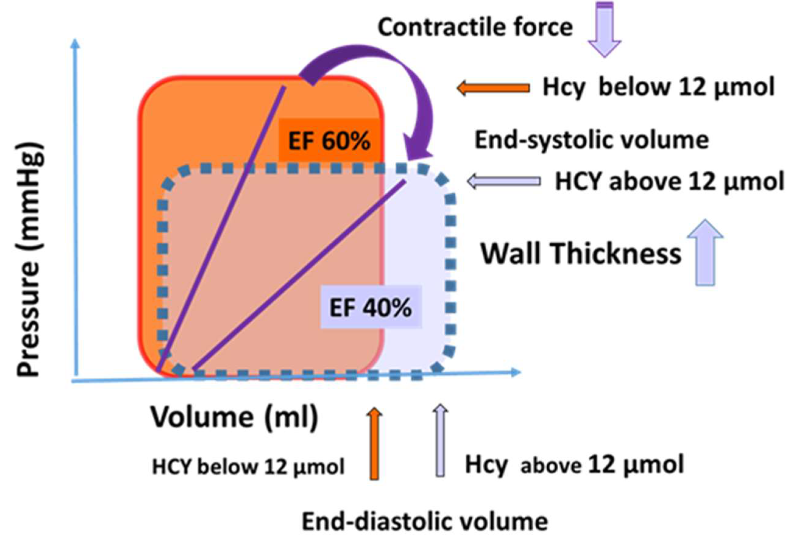 Jcdd 10 00122 g006 Jcdd 10 00122 g006