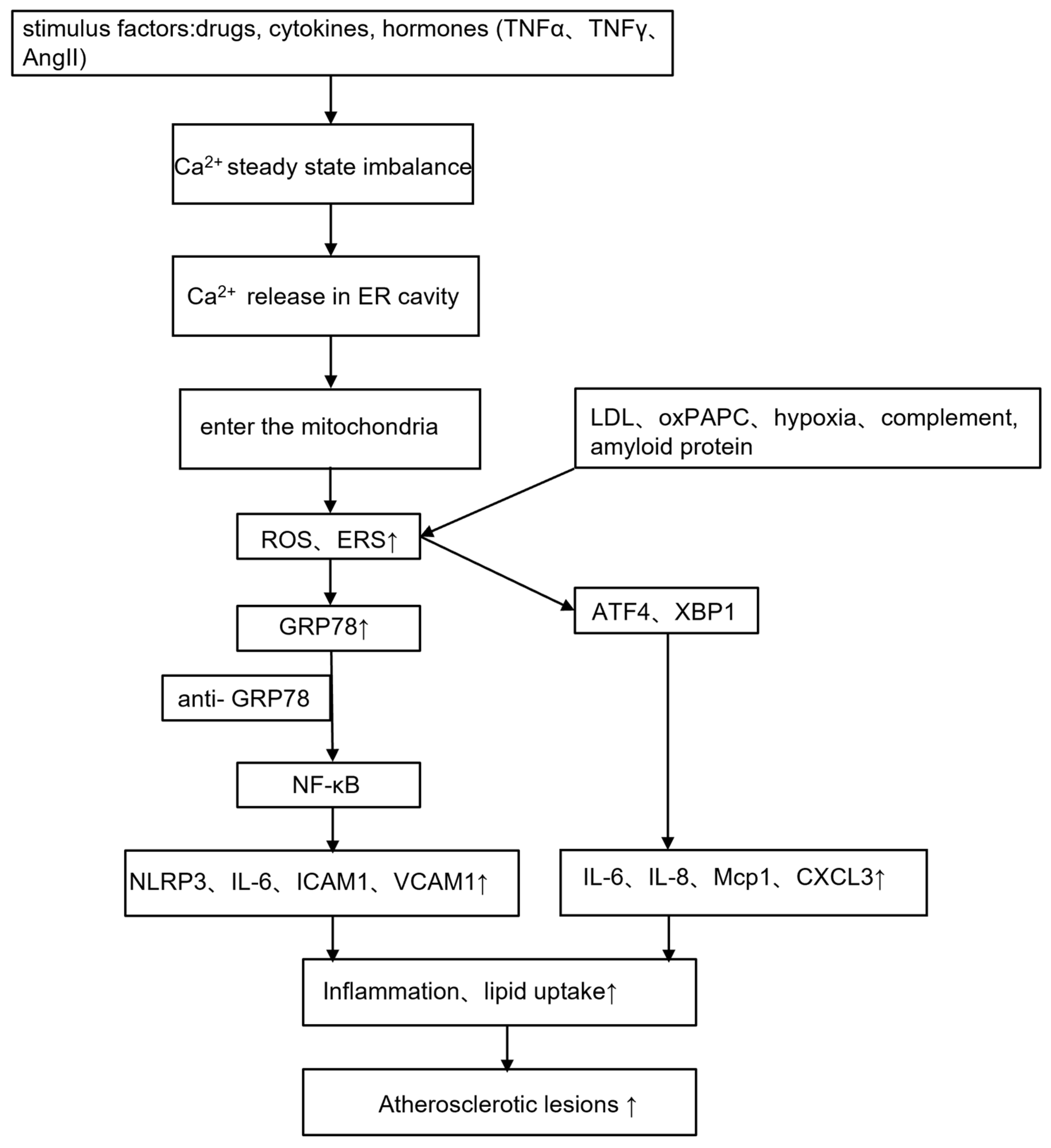 Jcdd 10 00171 g003 Jcdd 10 00171 g003