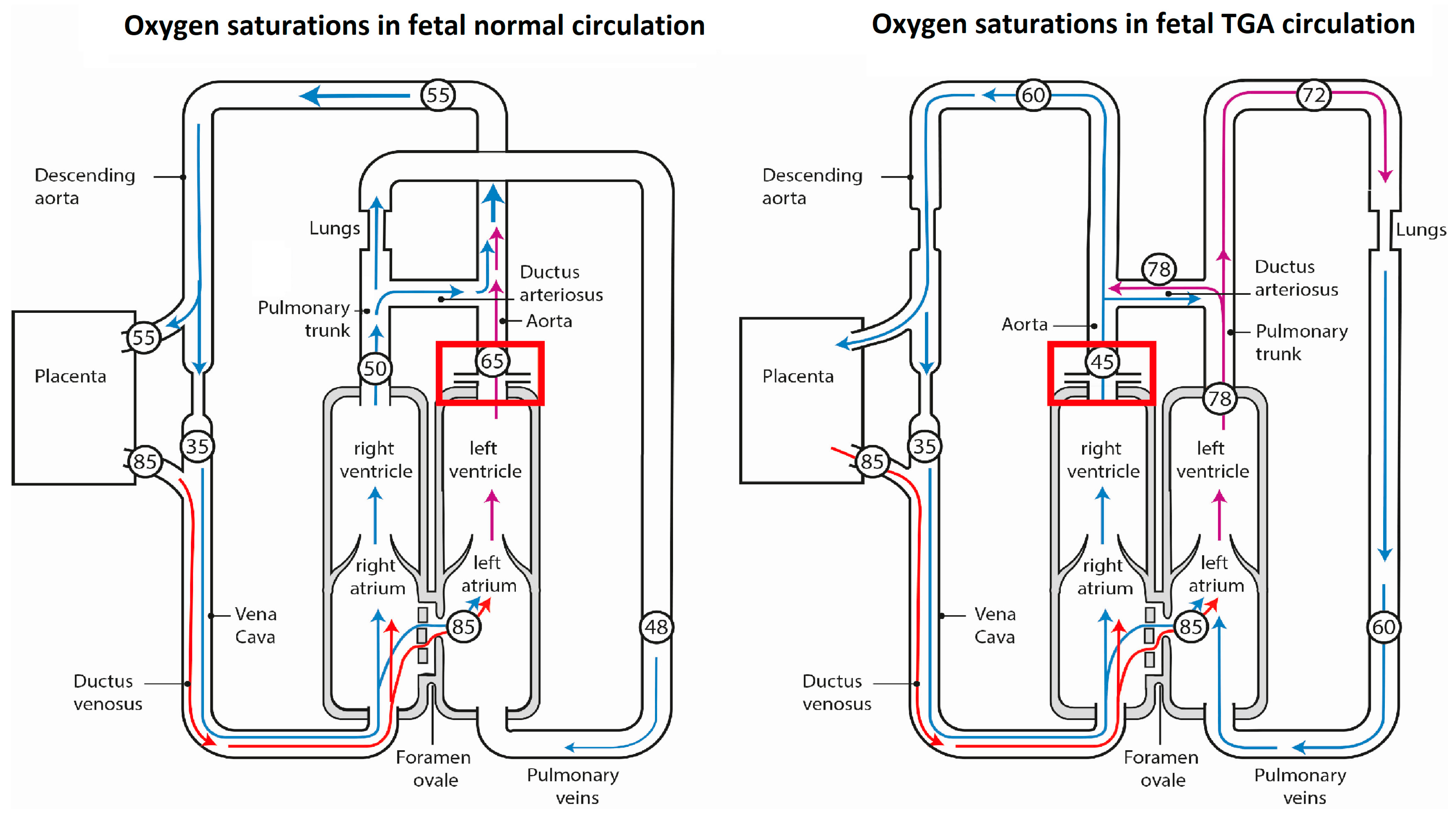 Jcdd 10 00180 g001 Jcdd 10 00180 g001