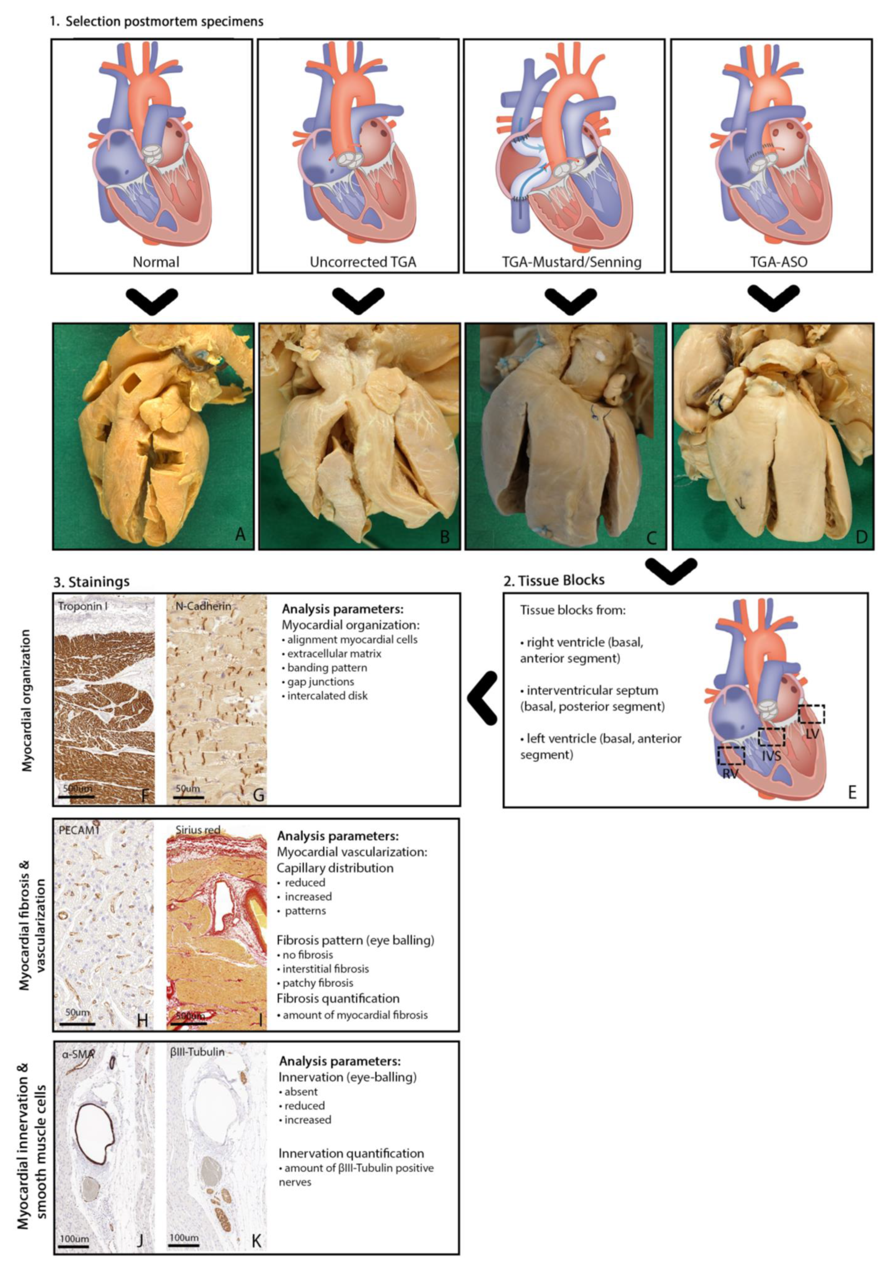 Jcdd 10 00180 g002 Jcdd 10 00180 g002