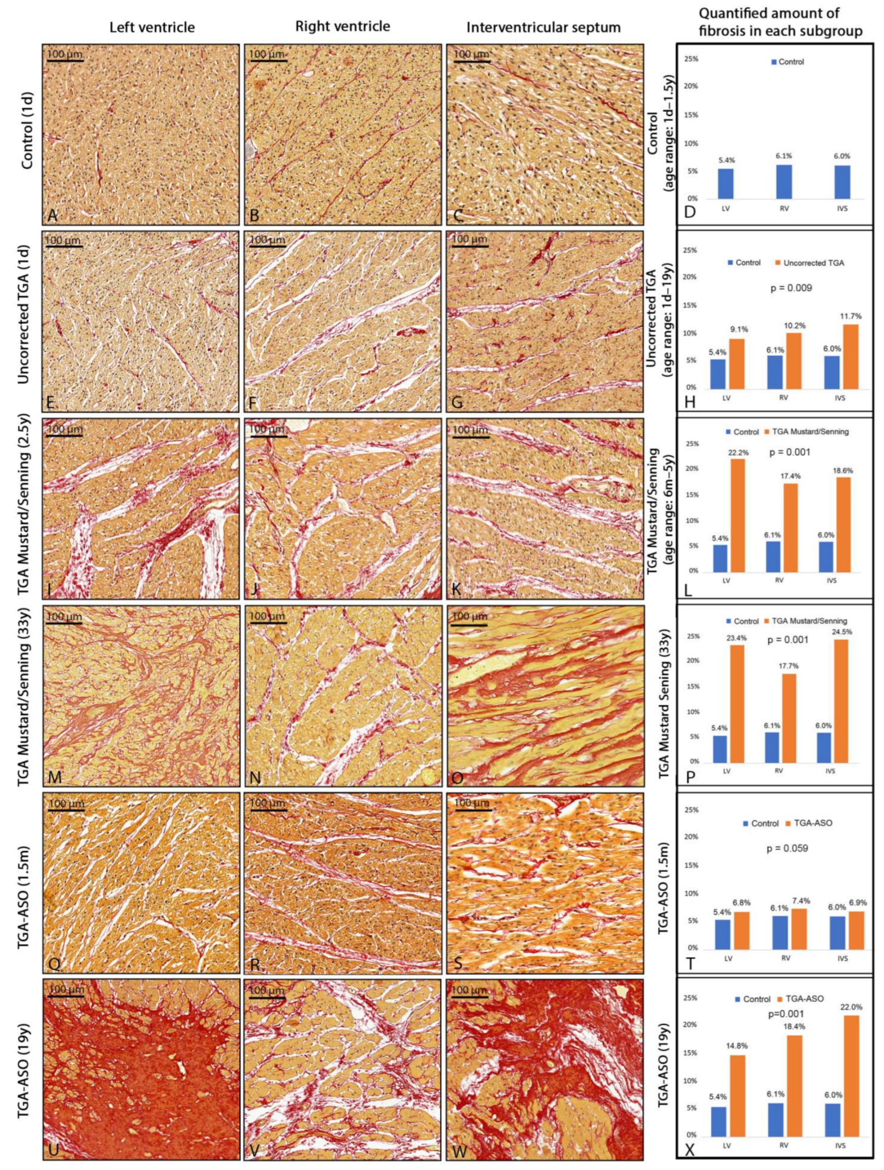 Jcdd 10 00180 g004 Jcdd 10 00180 g004