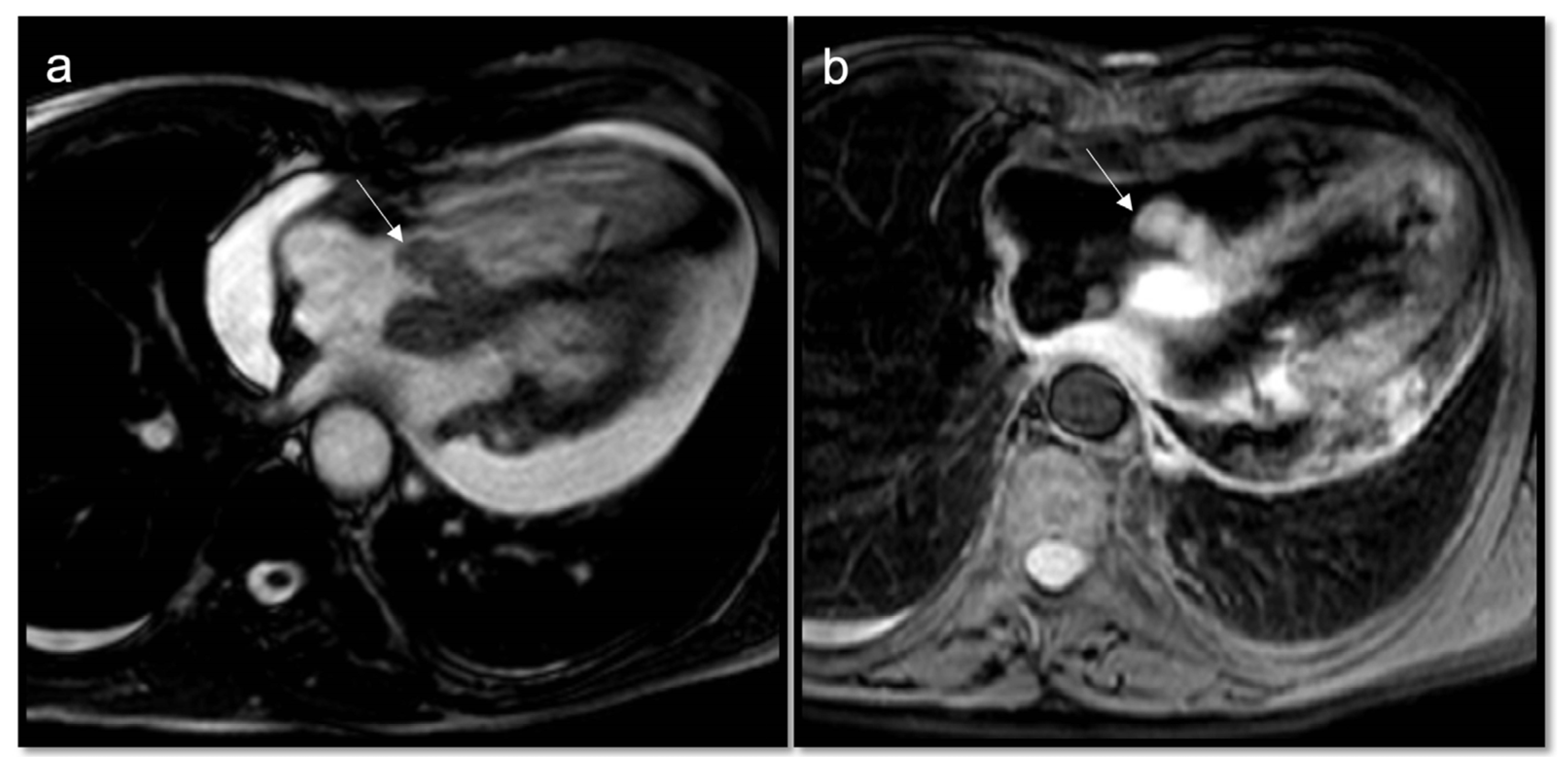 Jcdd 10 00229 g002 Jcdd 10 00229 g002