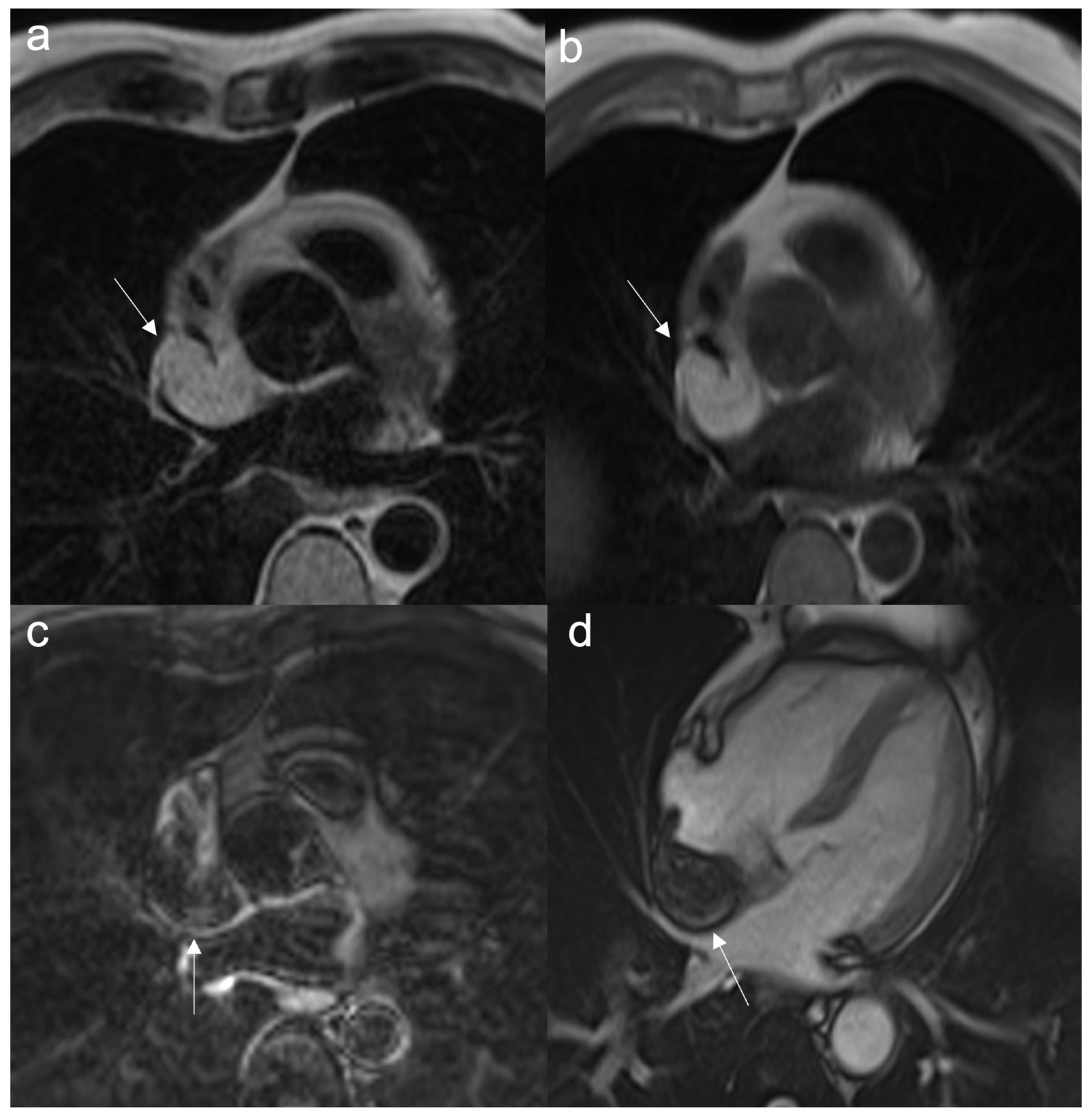 Jcdd 10 00229 g005 Jcdd 10 00229 g005