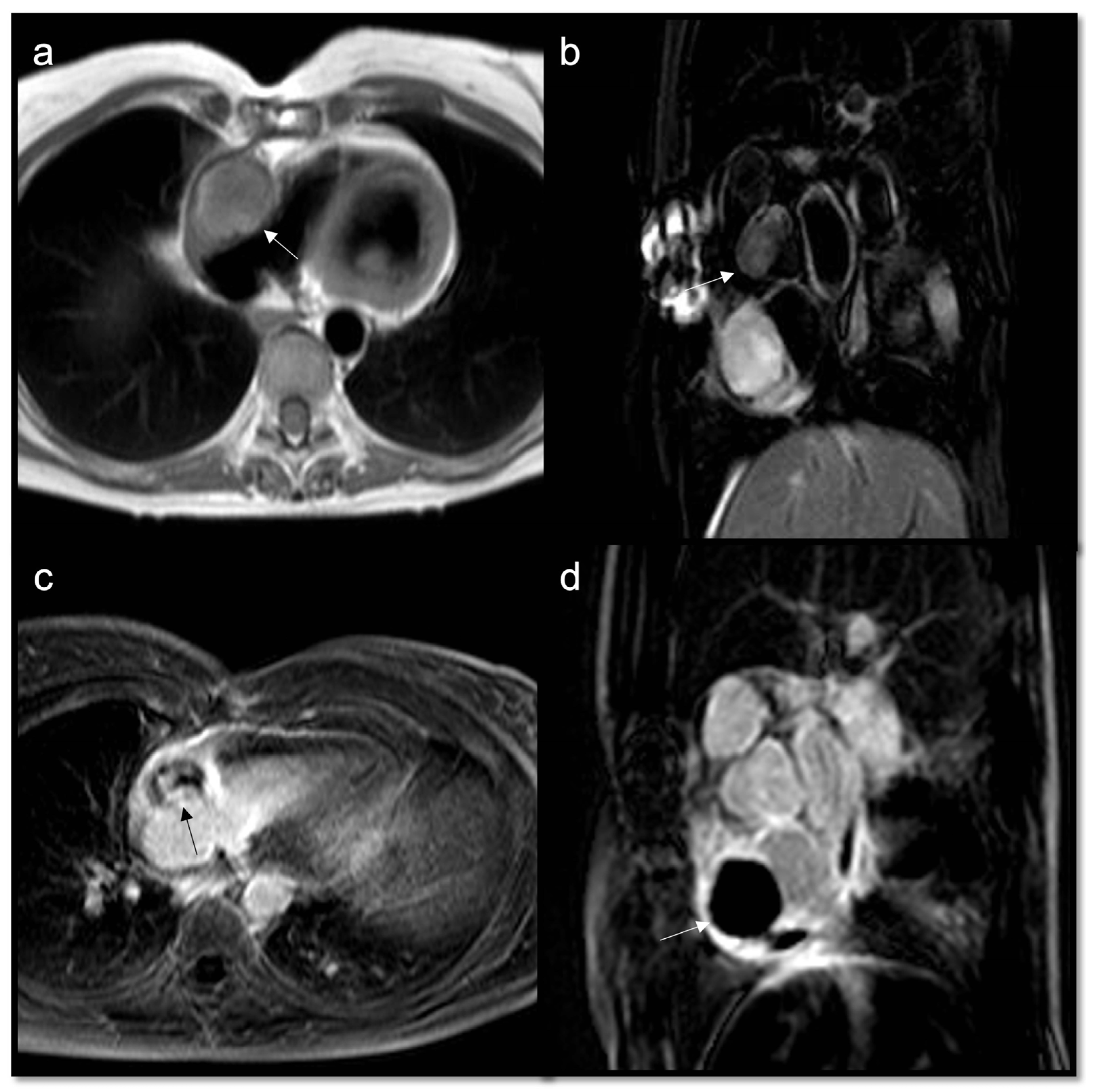 Jcdd 10 00229 g012 Jcdd 10 00229 g012