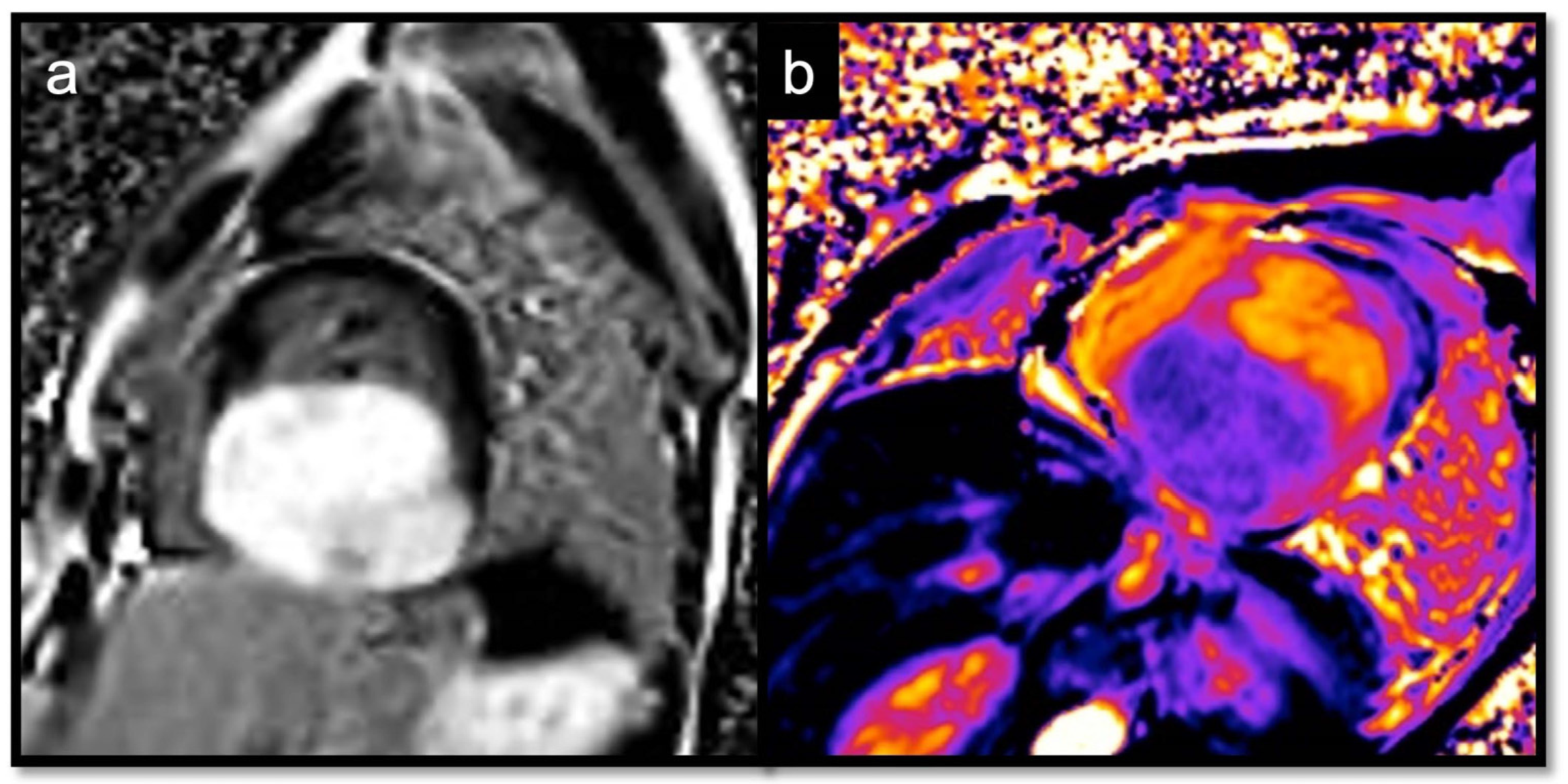 Jcdd 10 00229 g015 Jcdd 10 00229 g015