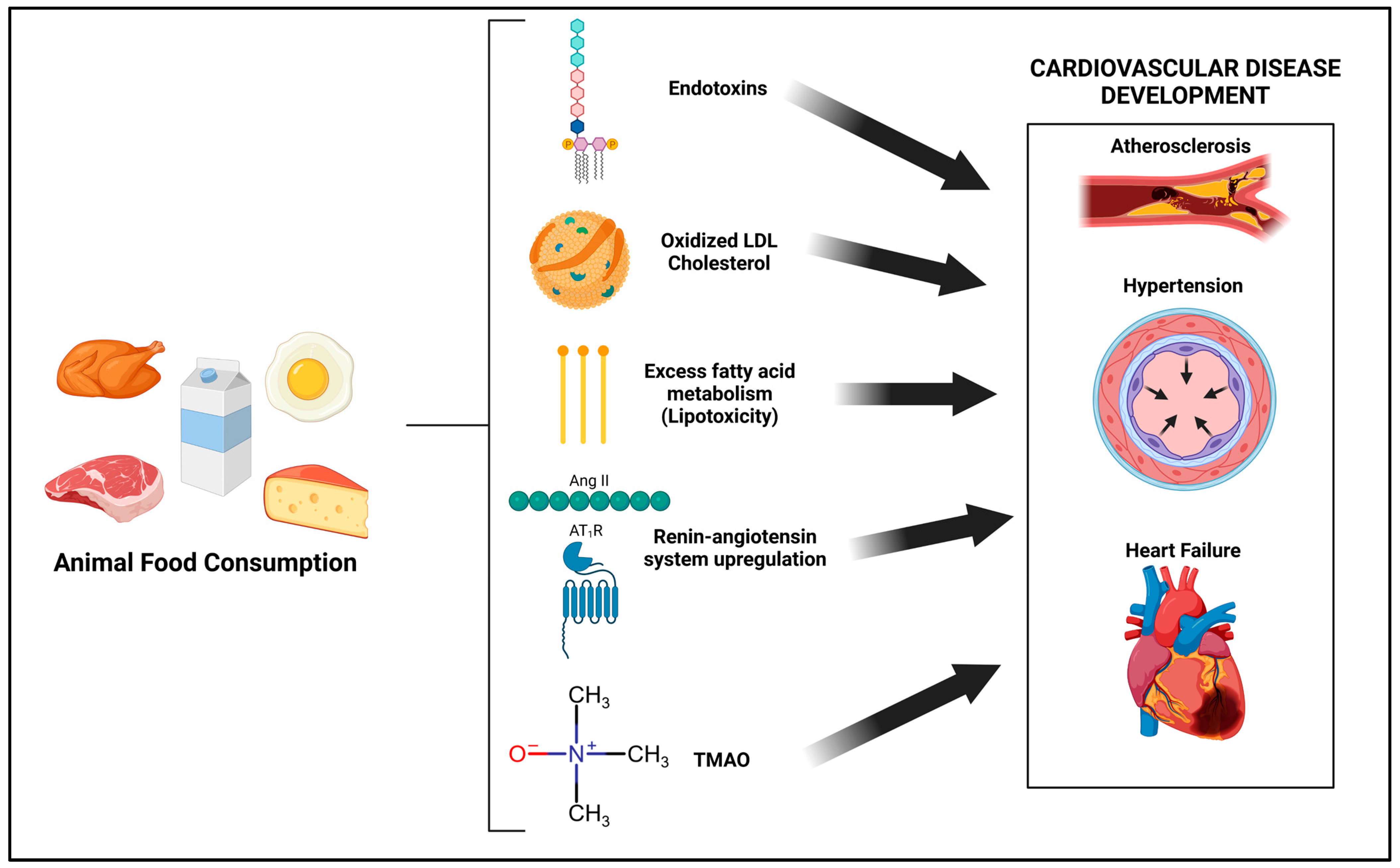 Jcdd 10 00282 g001 Jcdd 10 00282 g001