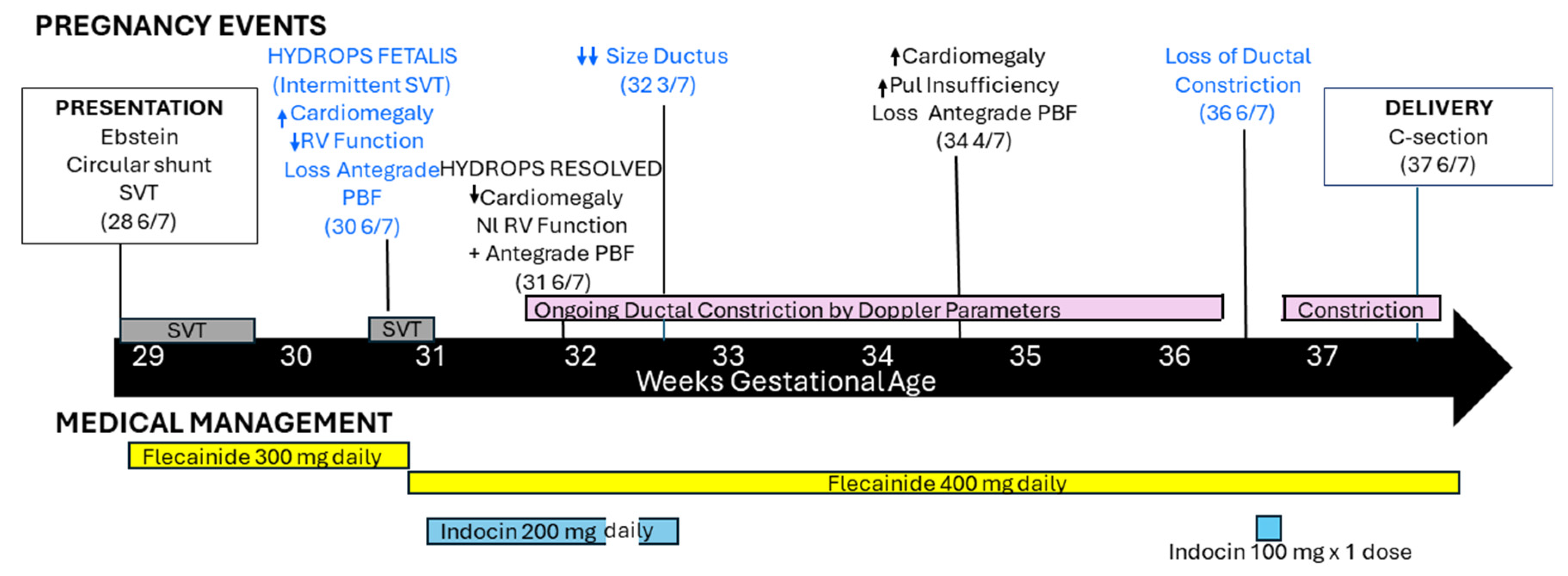 Jcdd 11 00147 g002