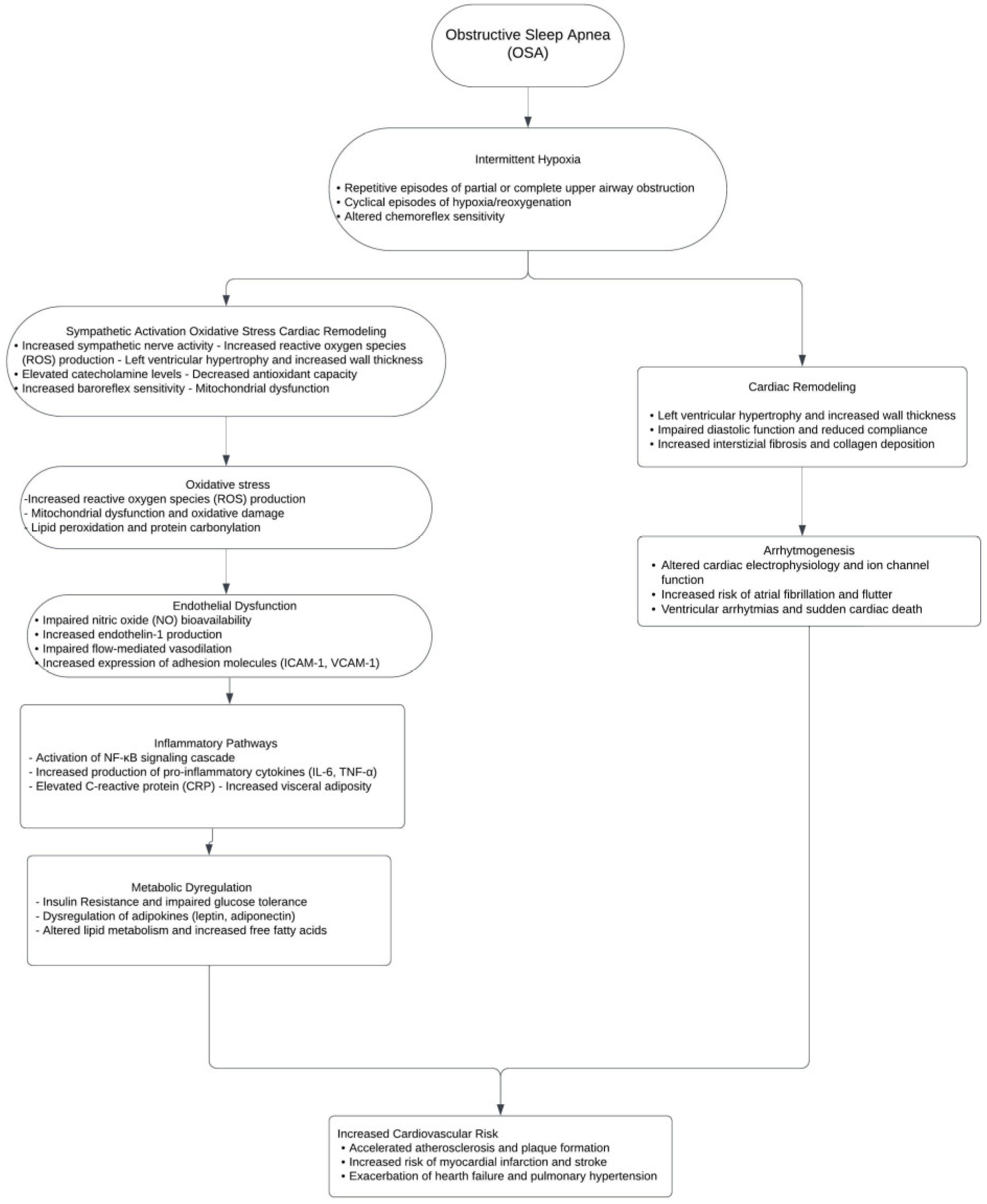 Jcdd 11 00204 g001 Jcdd 11 00204 g001