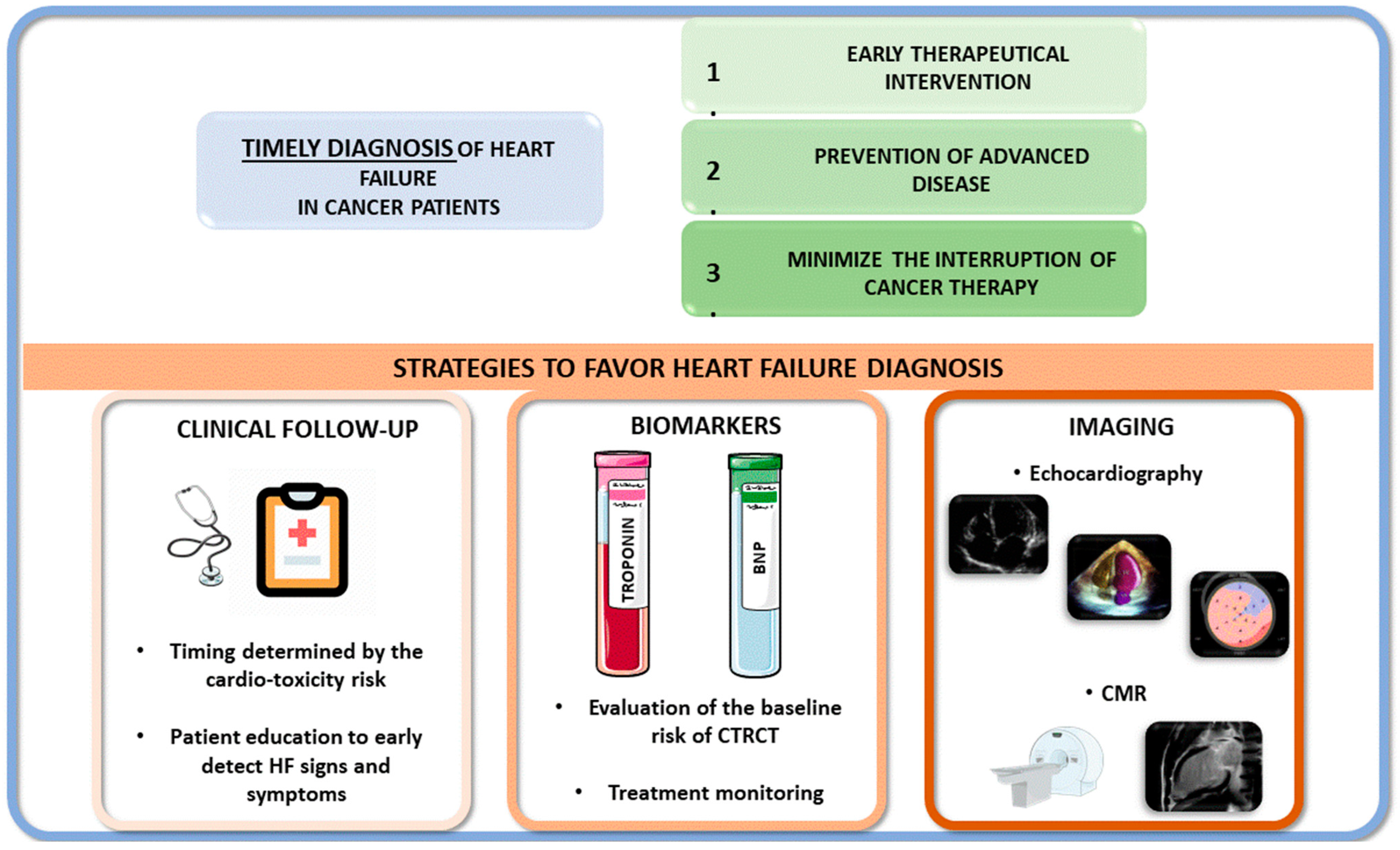 Jcdd 11 00263 g002 Jcdd 11 00263 g002