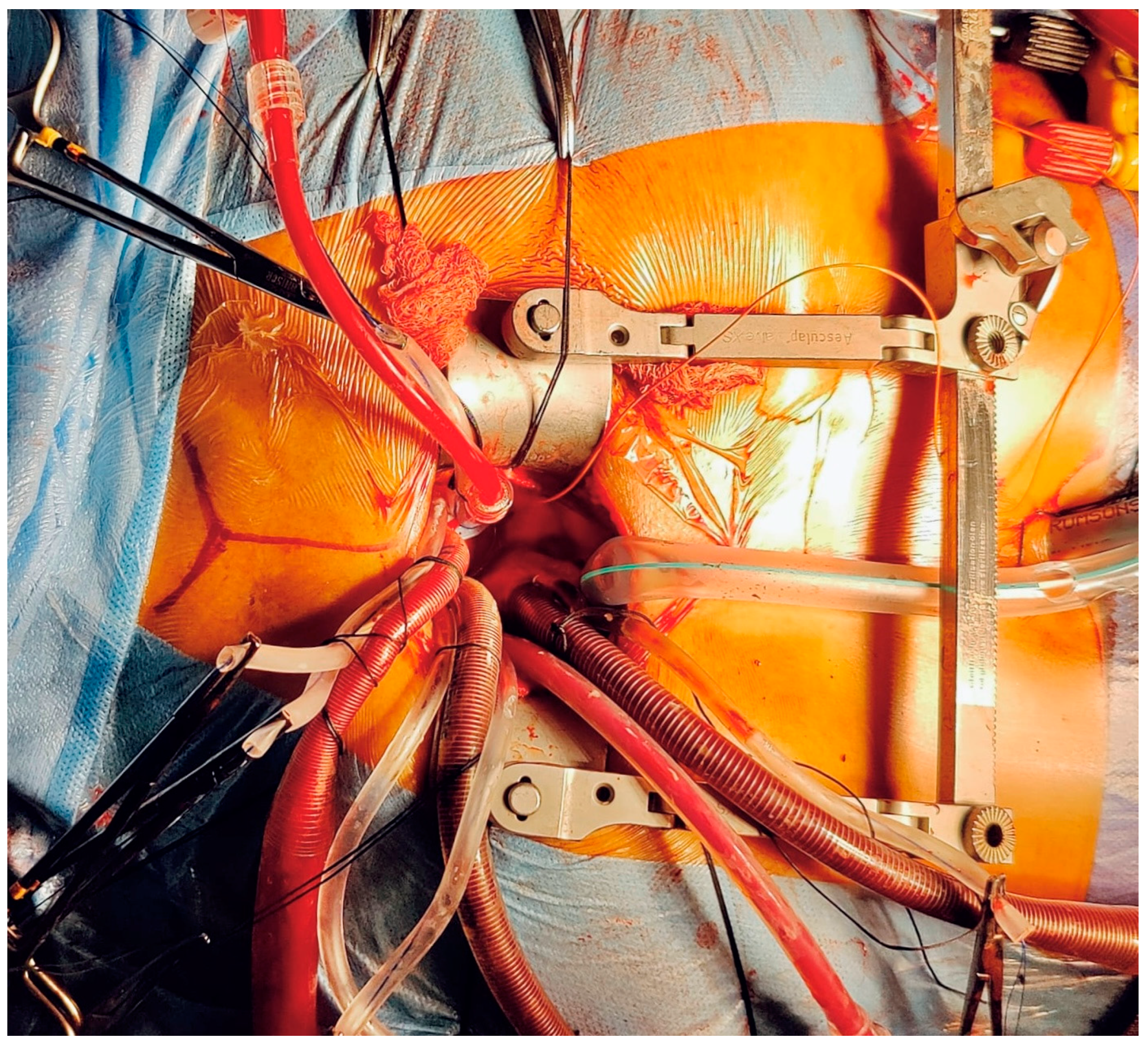 Jcdd 12 00084 g001 Jcdd 12 00084 g001