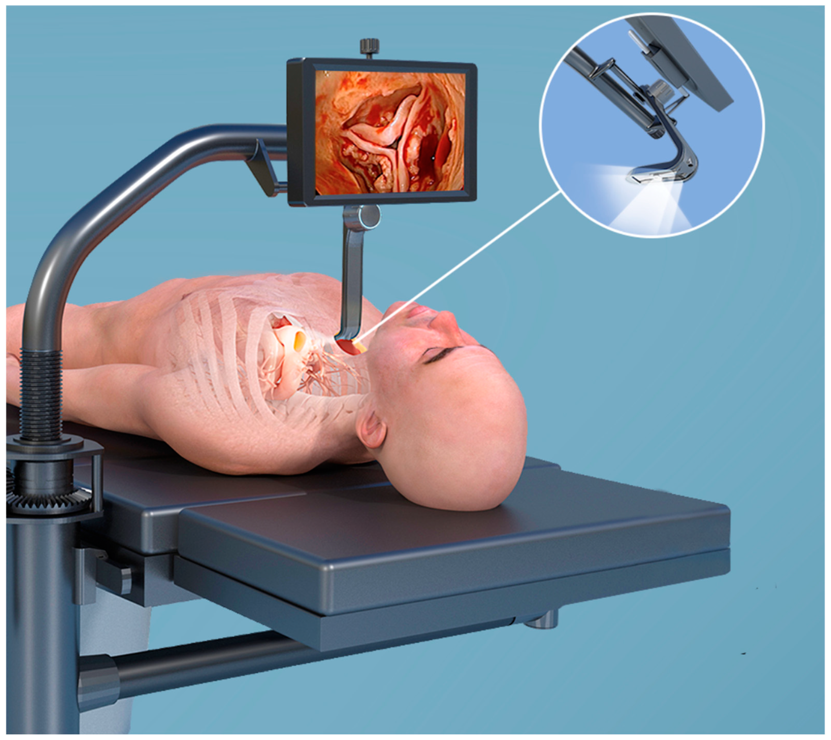 Jcdd 12 00084 g002 Jcdd 12 00084 g002