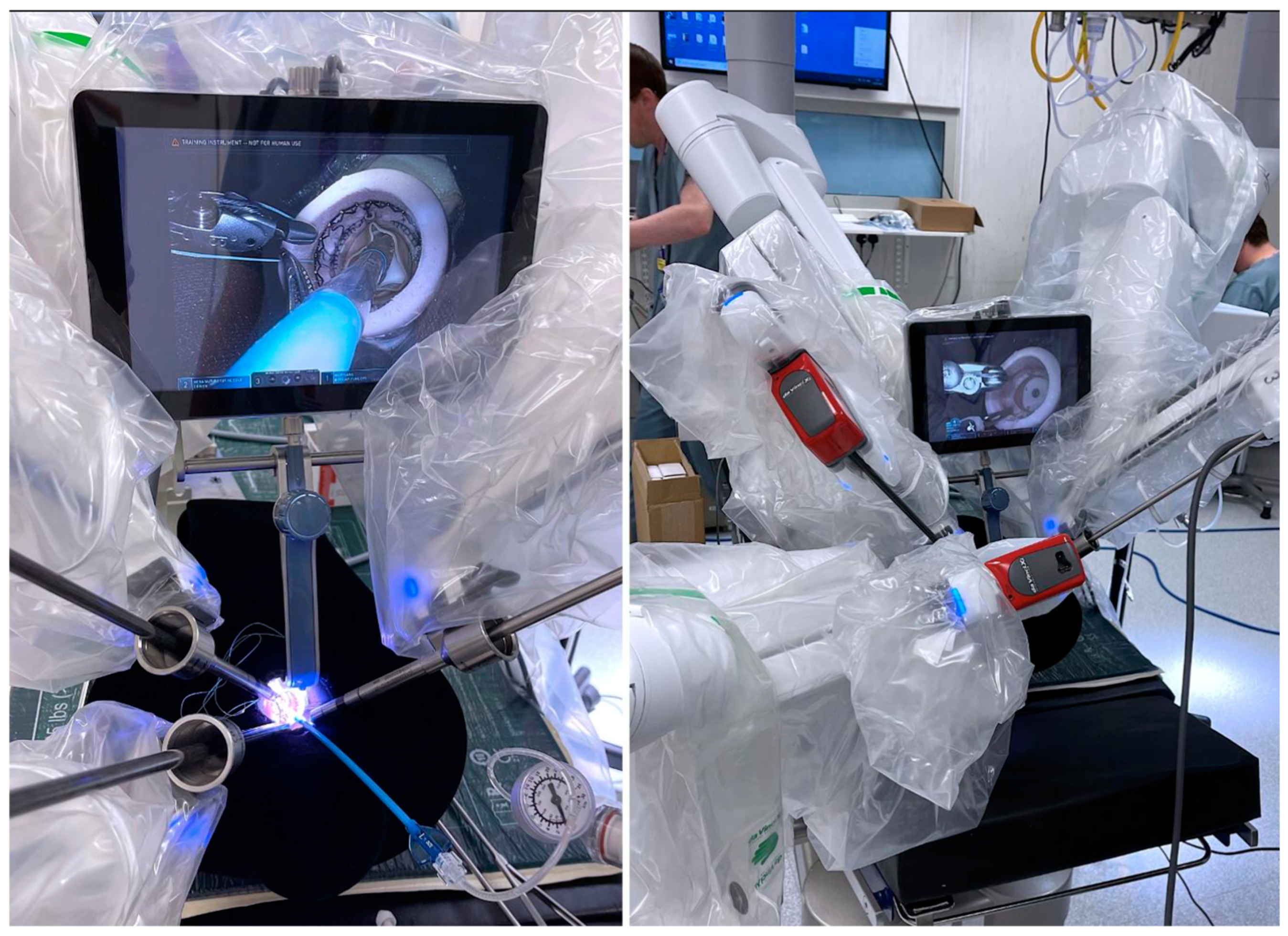 Jcdd 12 00084 g003 Jcdd 12 00084 g003