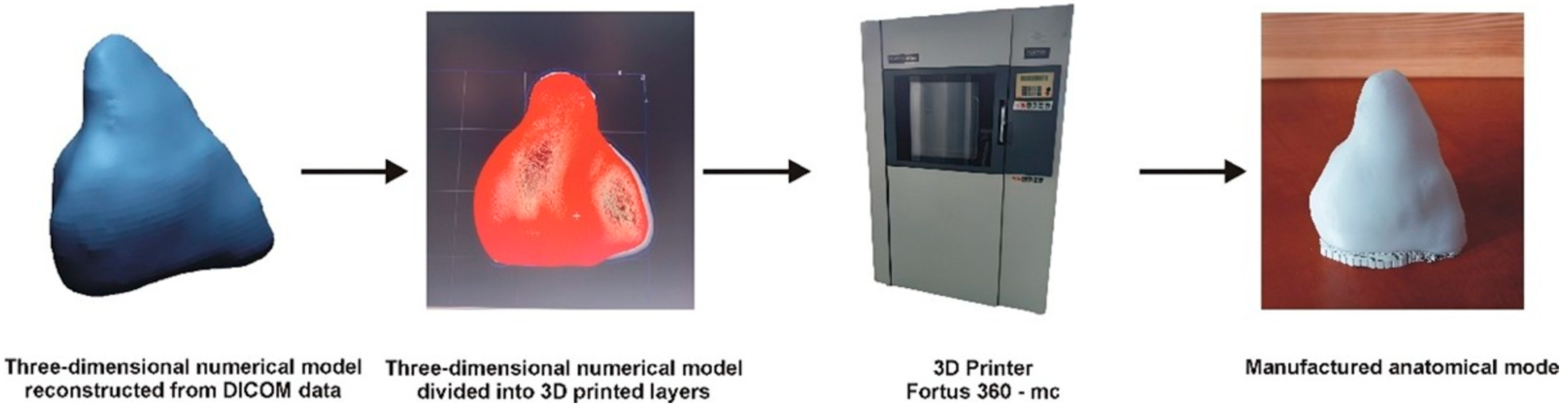 Jcdd 12 00323 g002 Jcdd 12 00323 g002