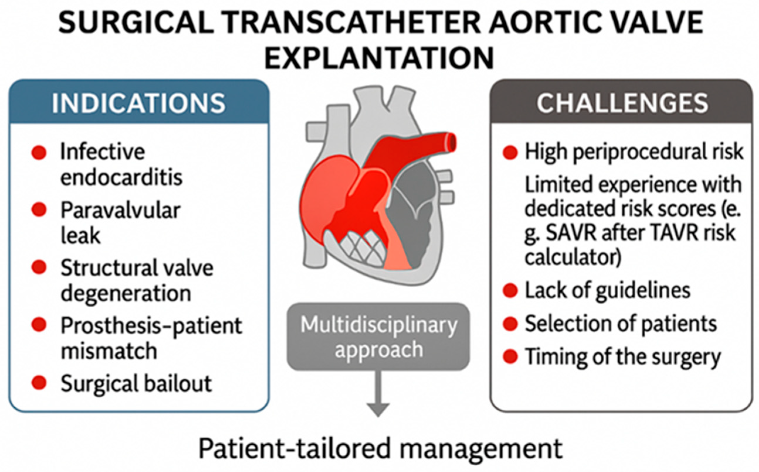 Jcdd 12 00407 g001 Jcdd 12 00407 g001