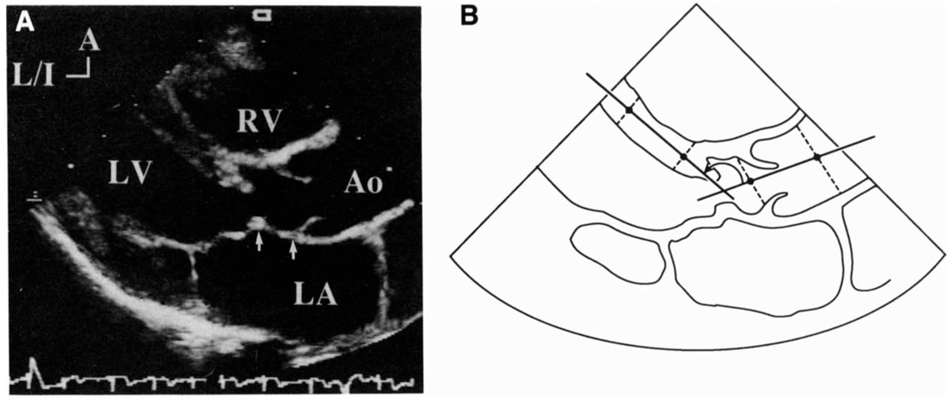 Jcdd 12 00413 g001 Jcdd 12 00413 g001