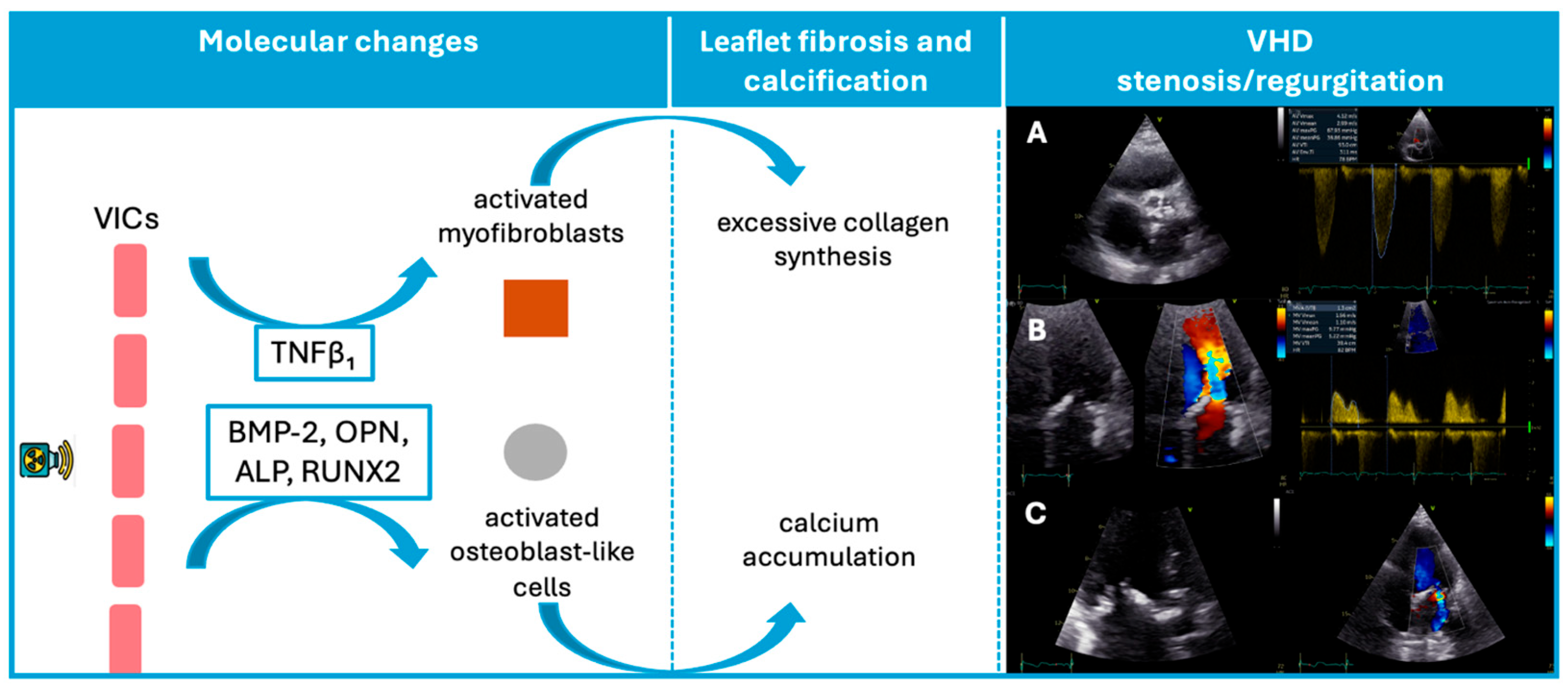 Jcdd 13 00001 g001 Jcdd 13 00001 g001