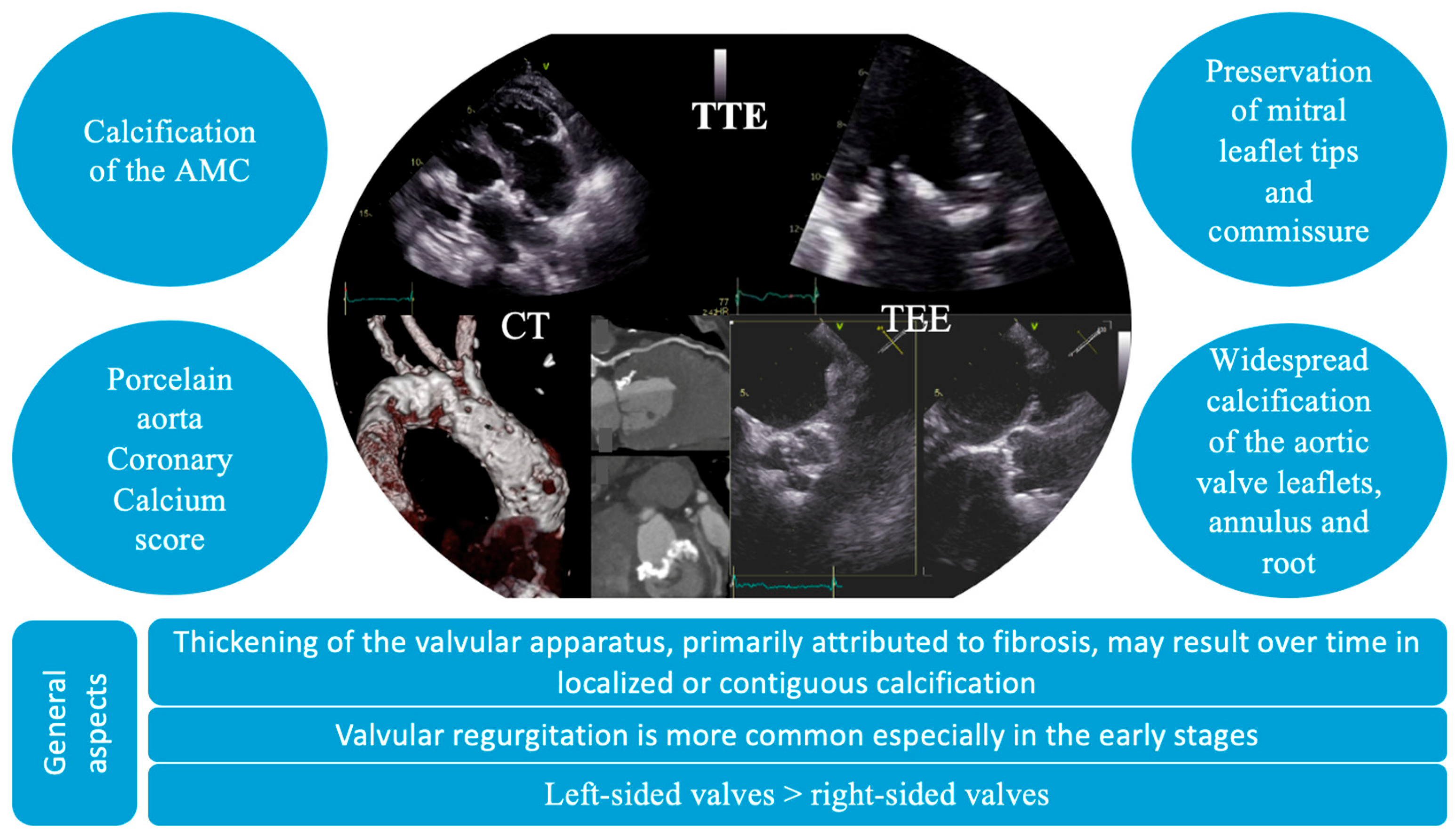 Jcdd 13 00001 g003 Jcdd 13 00001 g003
