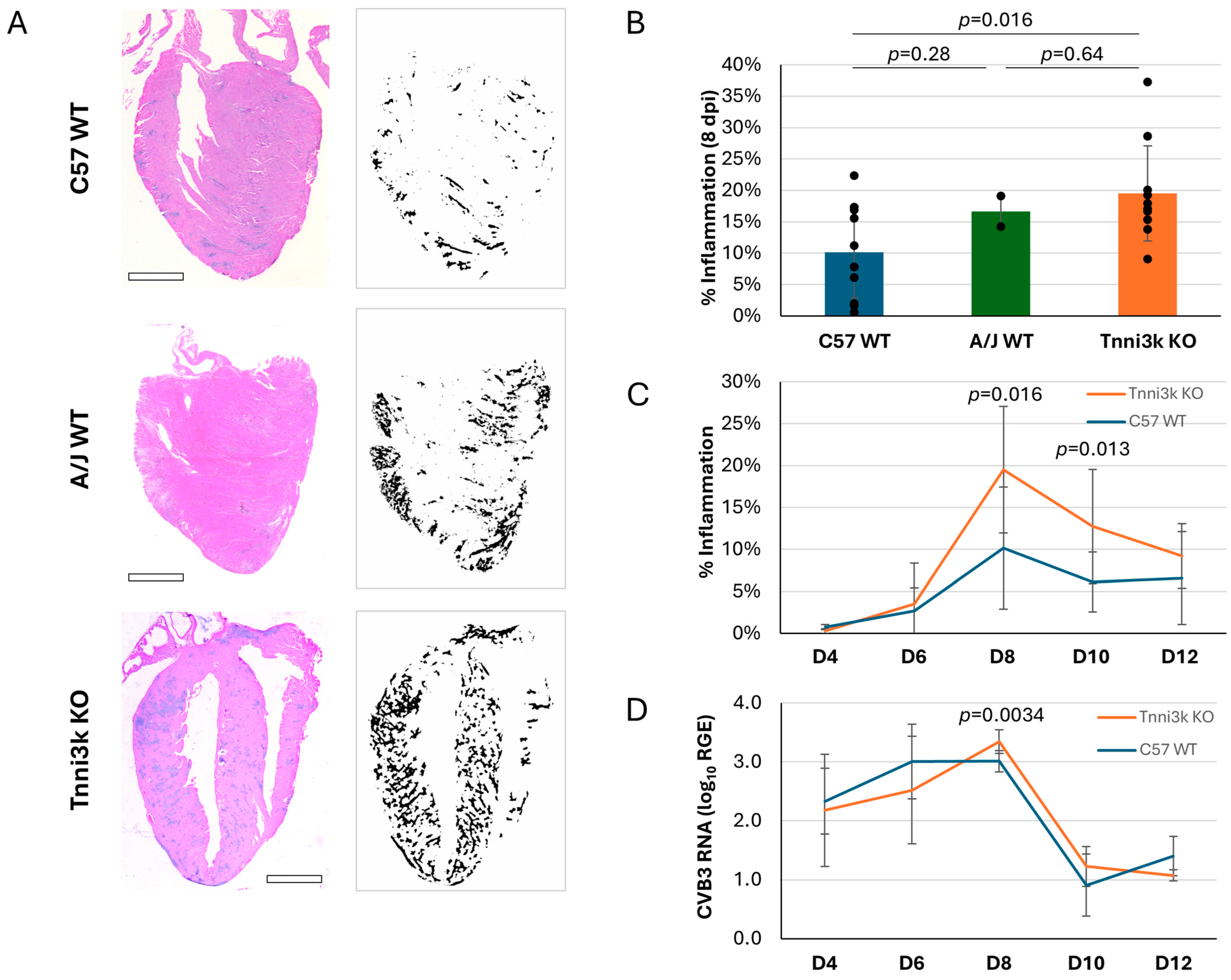 Jcdd 13 00069 g001 Jcdd 13 00069 g001