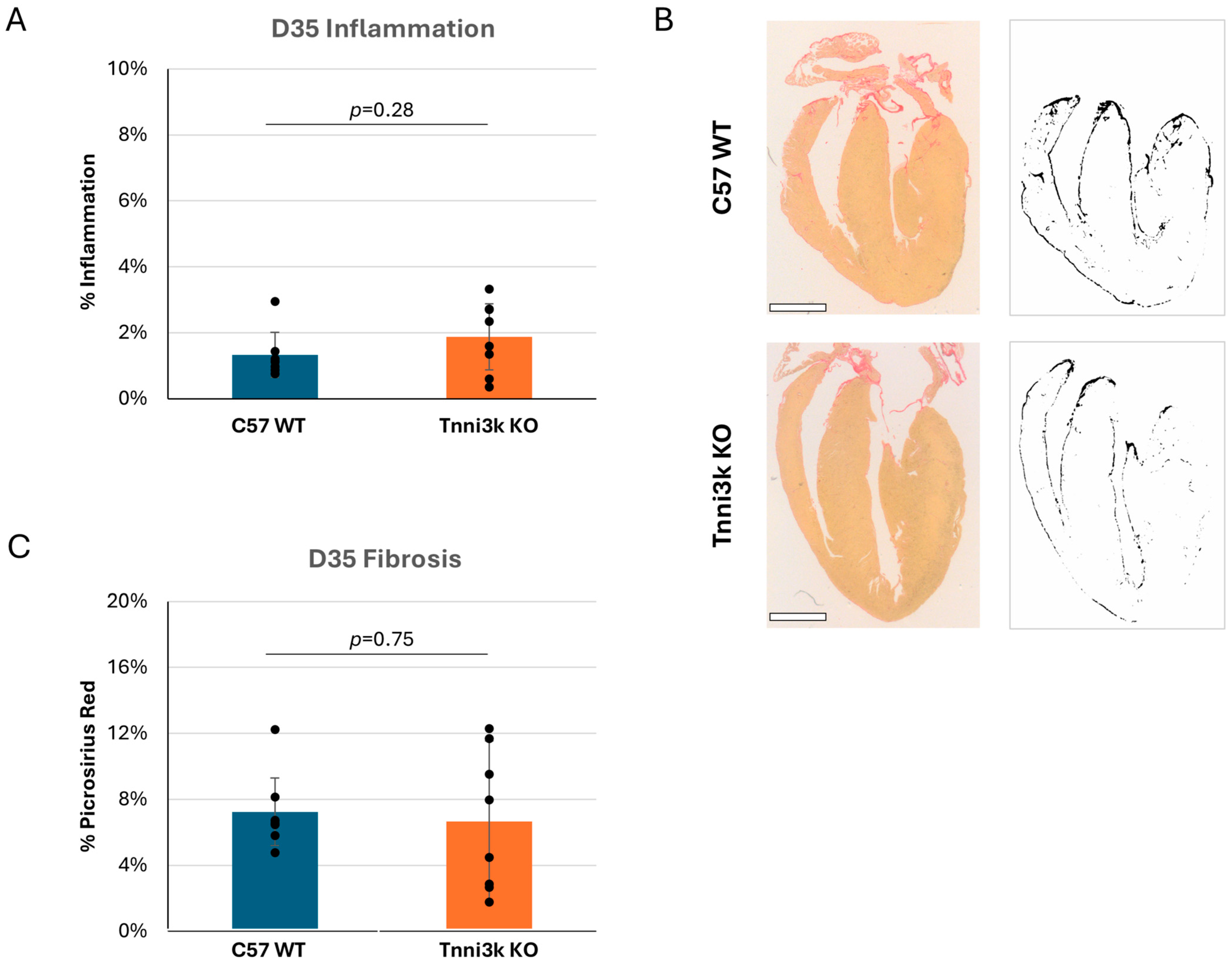 Jcdd 13 00069 g004 Jcdd 13 00069 g004