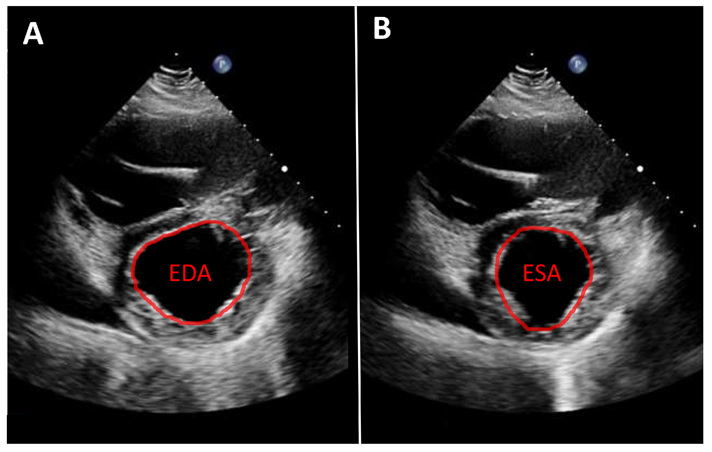 Jcdd 13 00070 g001 Jcdd 13 00070 g001