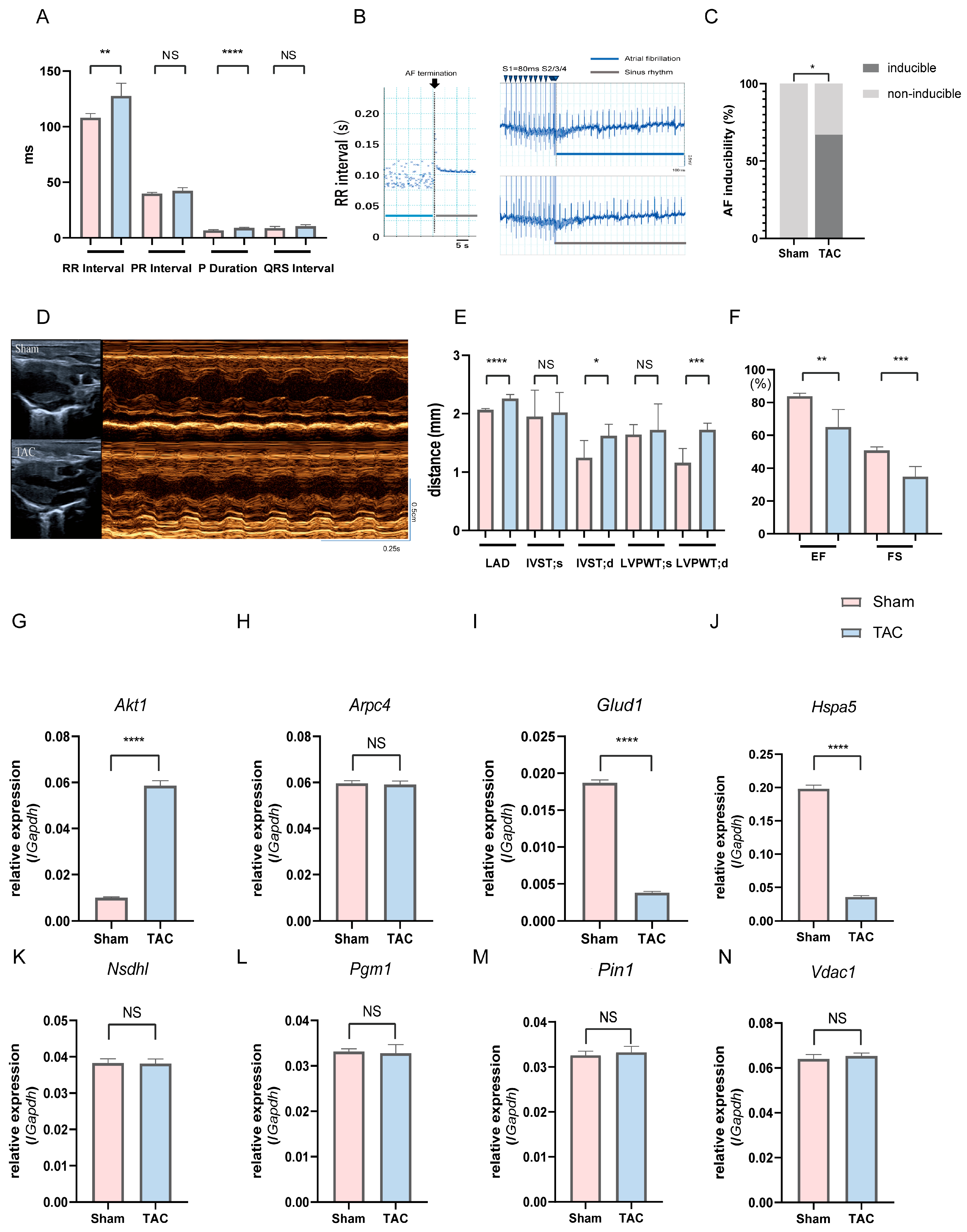 Jcdd 13 00082 g008 Jcdd 13 00082 g008