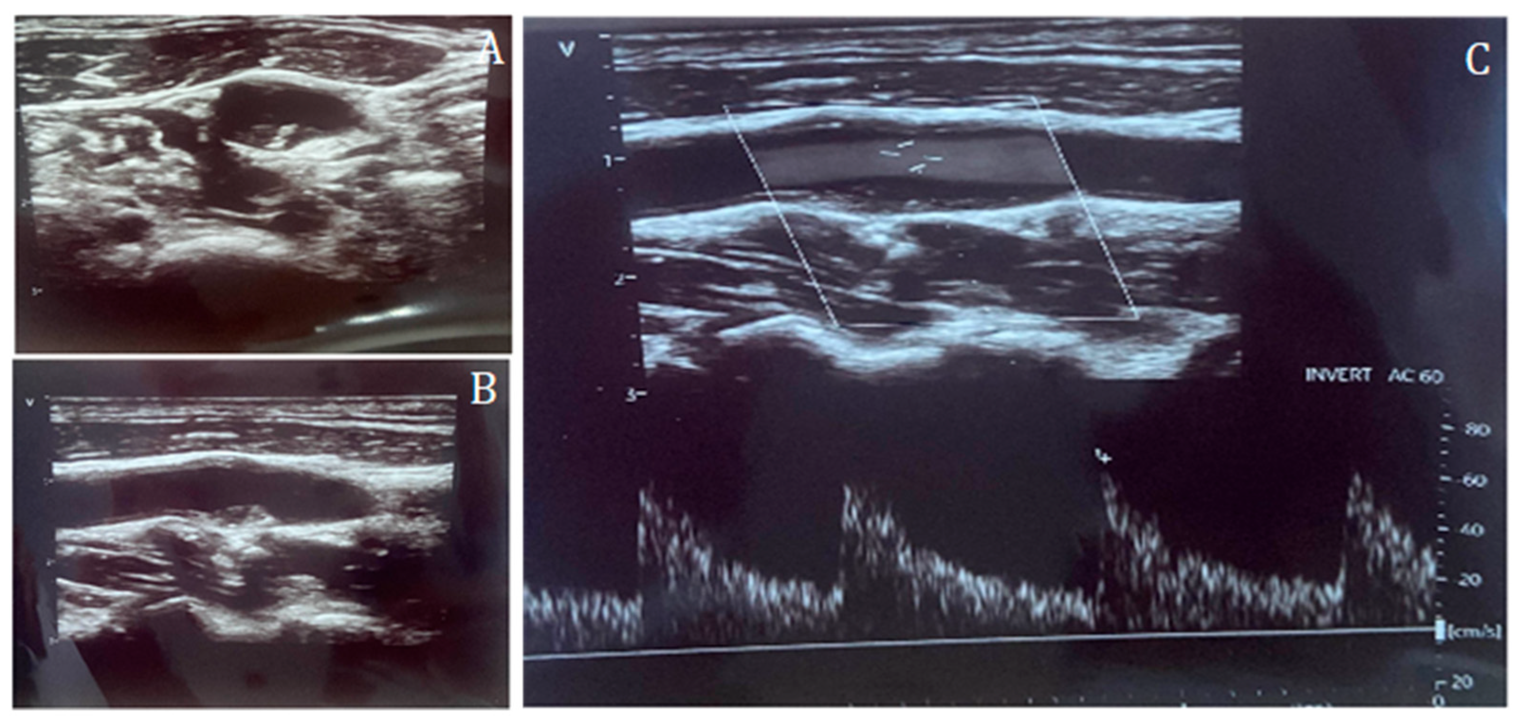 Jcdd 13 00088 g001 Jcdd 13 00088 g001