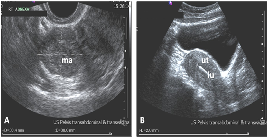 Jcm 02 00214 g001 1024