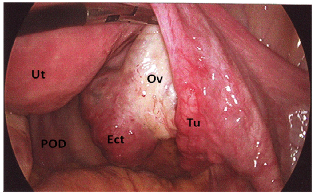 Jcm 02 00214 g002 1024