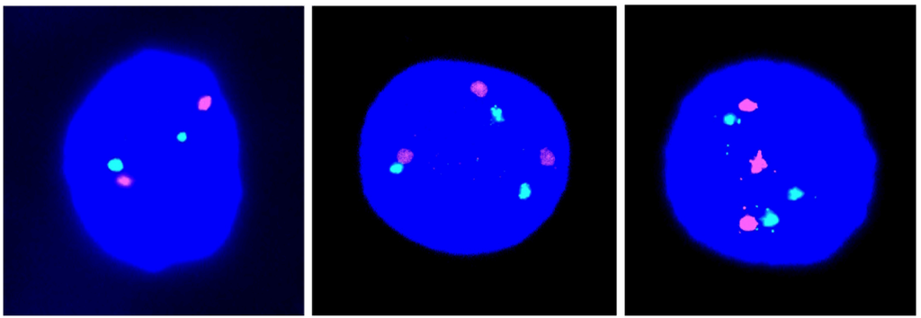 Jcm 03 00167 g001 1024