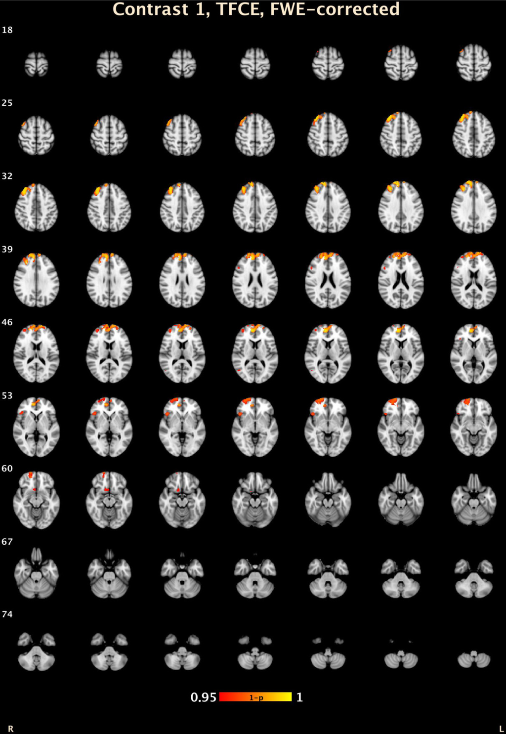 Jcm 03 00416 g001 1024