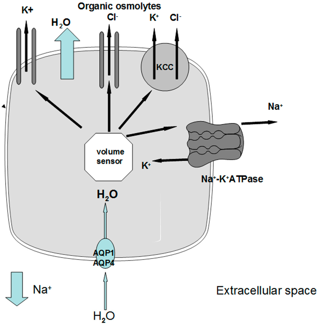 Jcm 03 01163 g002 1024