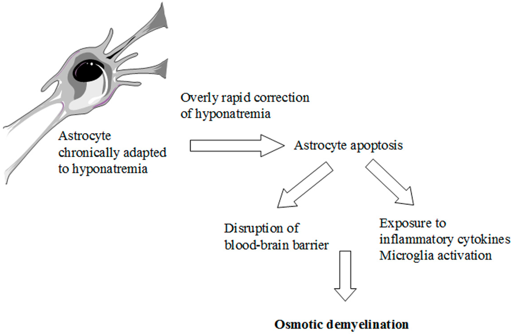 Jcm 03 01163 g003 1024