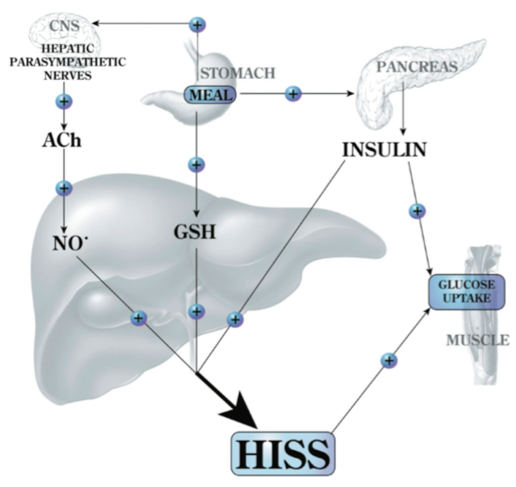 Jcm 03 01178 g006 1024