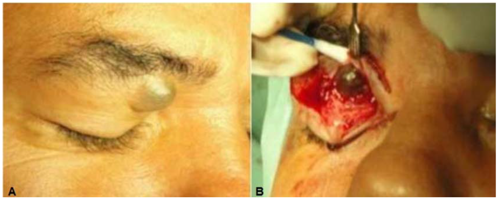 Jcm 04 00150 g001a 1024