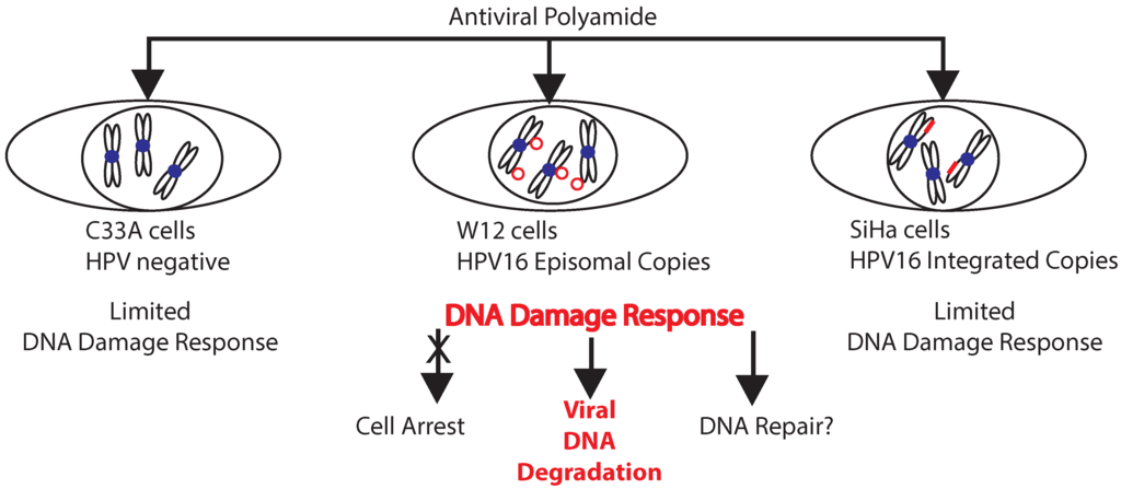 Jcm 04 00204 g003 1024