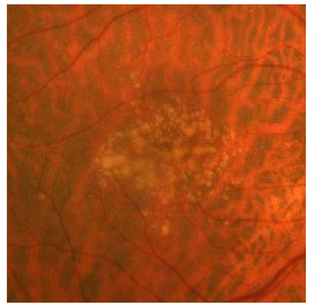 Jcm 04 00343 g001 1024