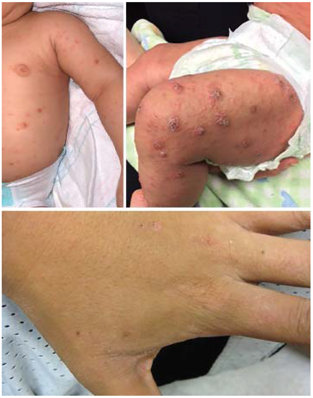 Jcm 04 00884 g020 1024