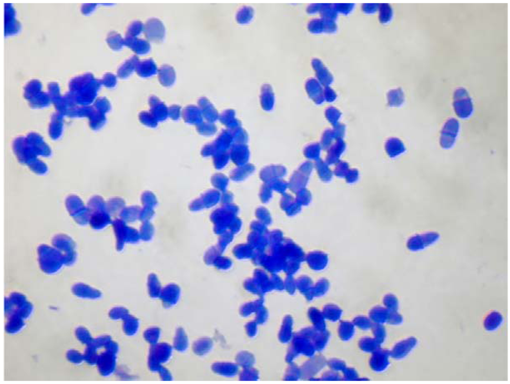 Jcm 04 01217 g001 1024