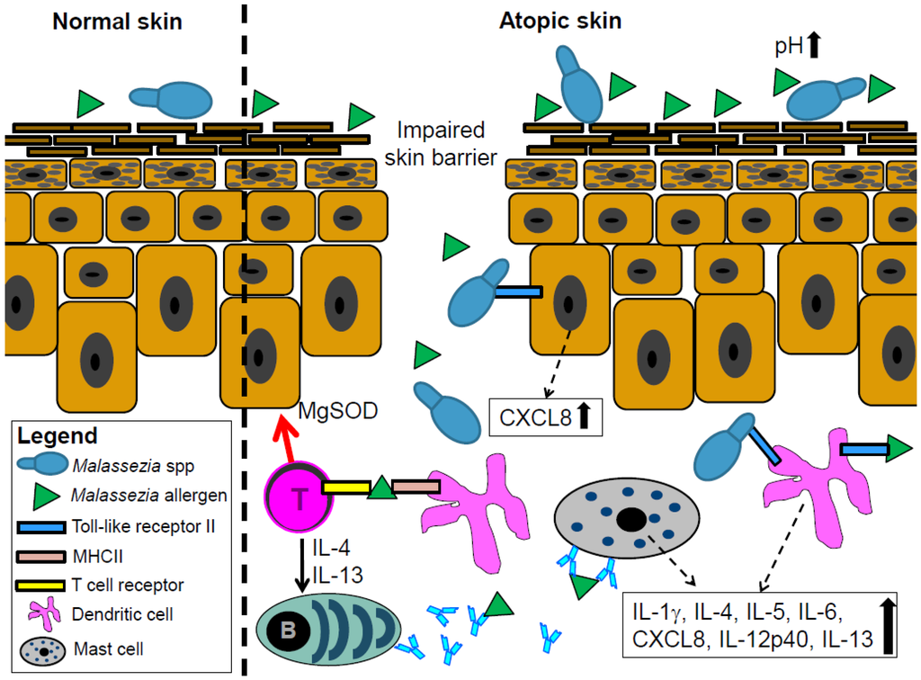 Jcm 04 01217 g002 1024