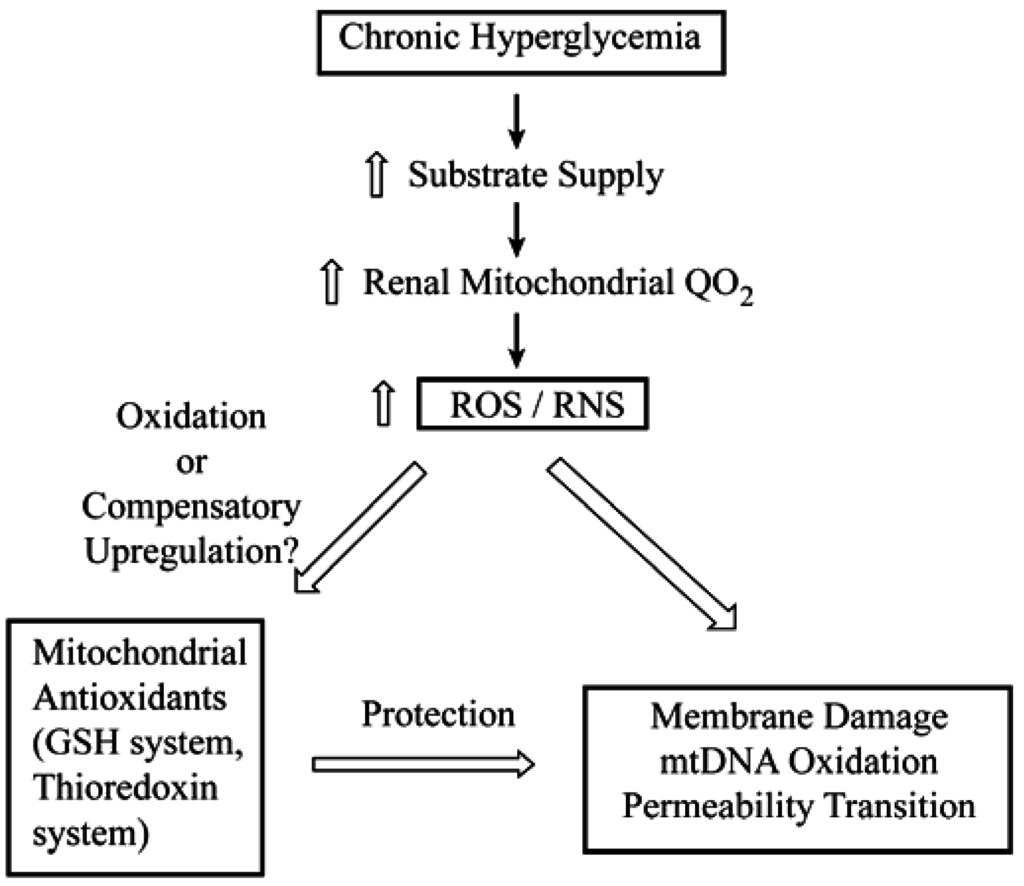 Jcm 04 01428 g001 1024