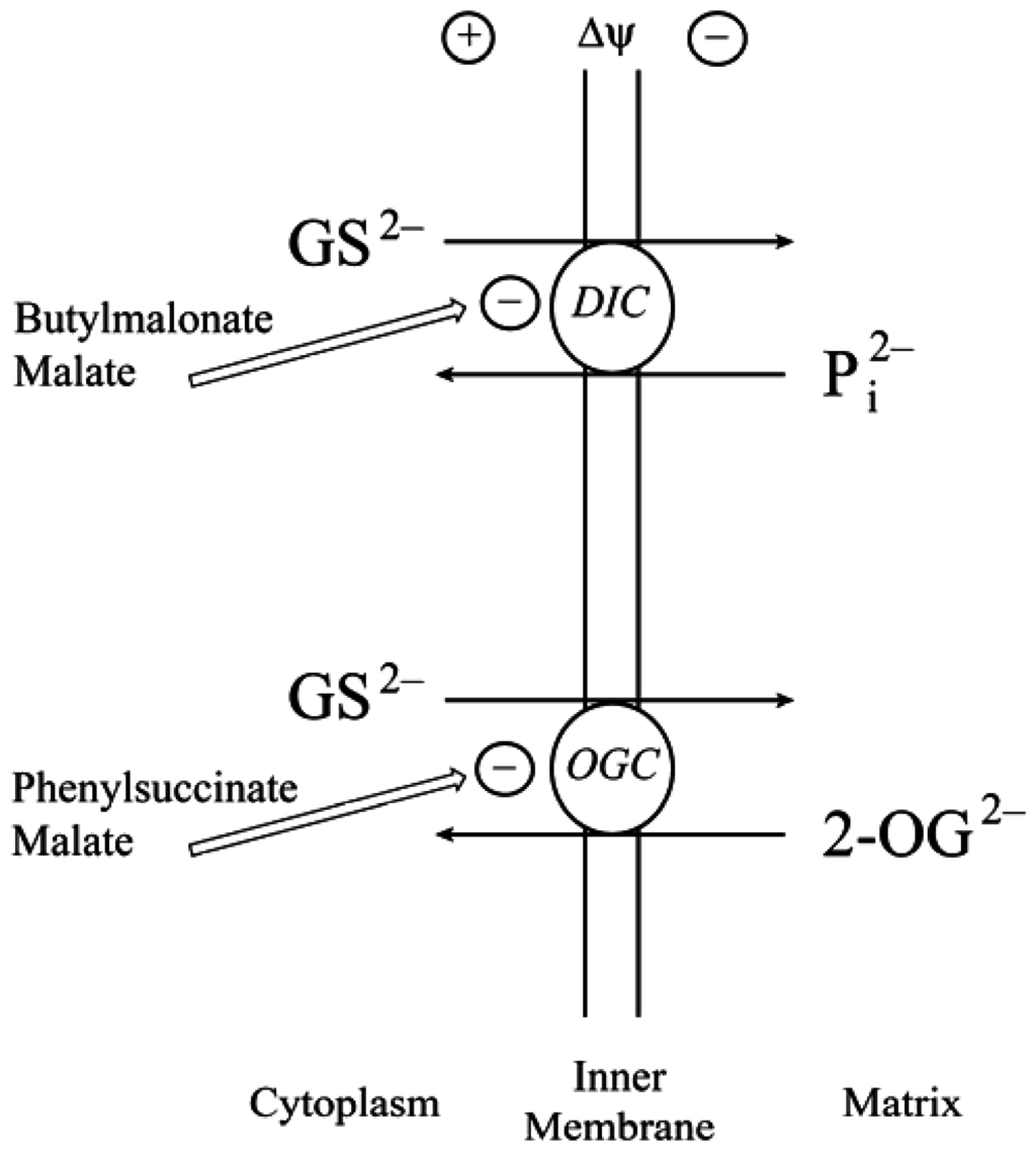 Jcm 04 01428 g002 1024