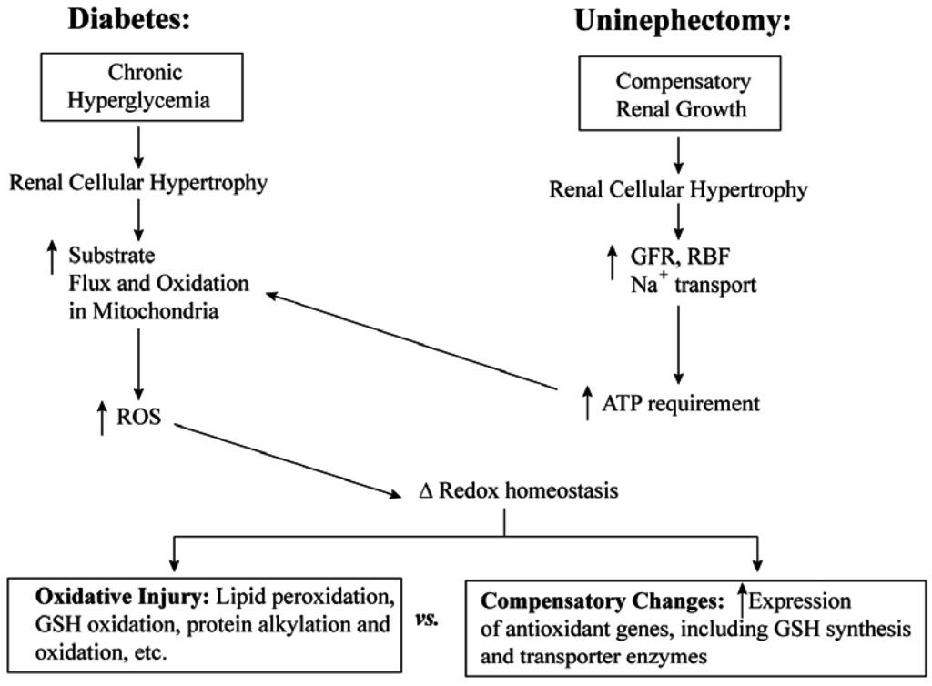 Jcm 04 01428 g004 1024