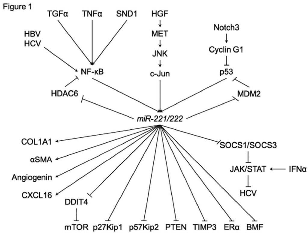 Jcm 04 01566 g001 1024