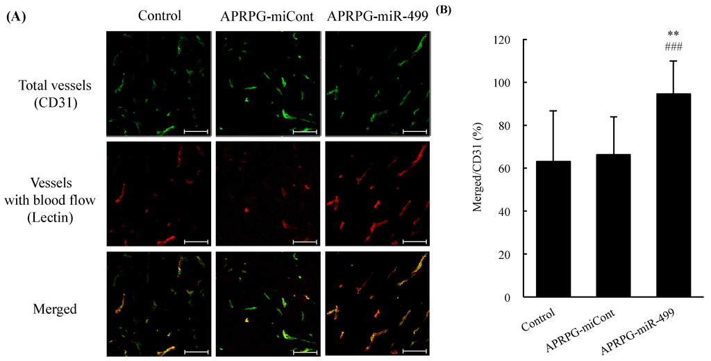 Jcm 05 00010 g001 1024