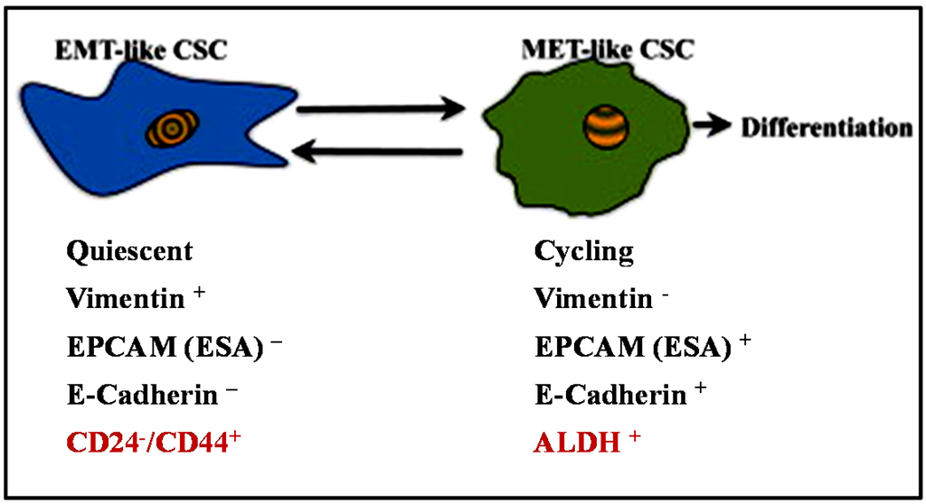 Jcm 05 00013 g002 1024