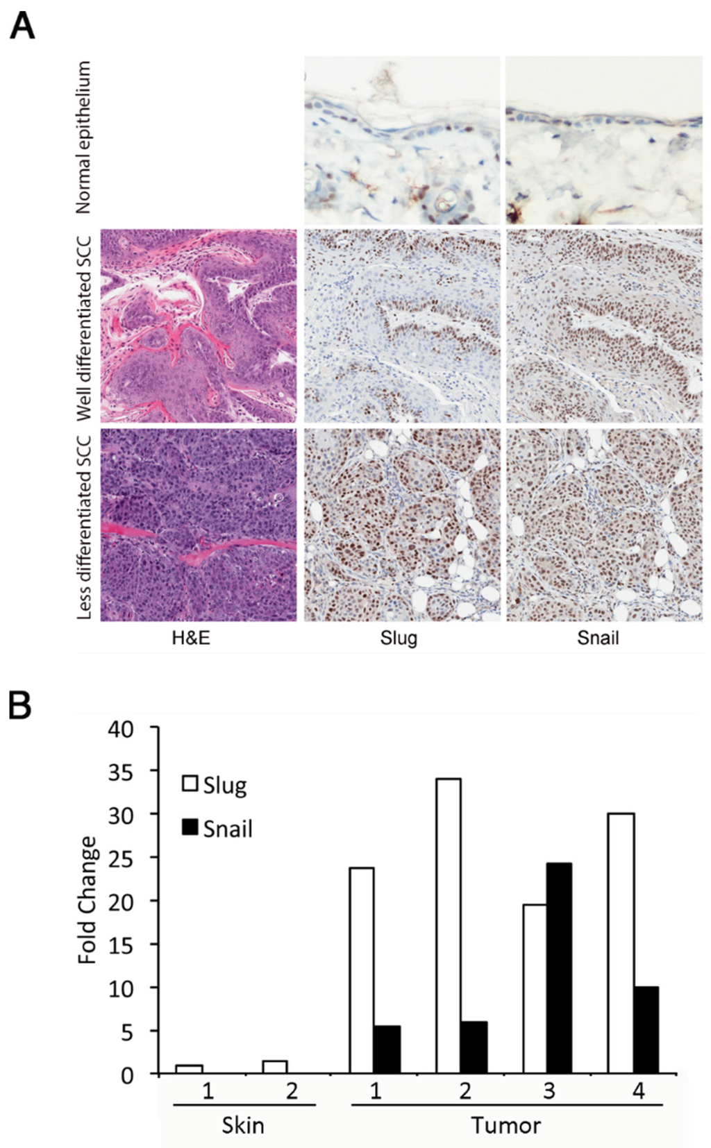 Jcm 05 00021 g001 1024