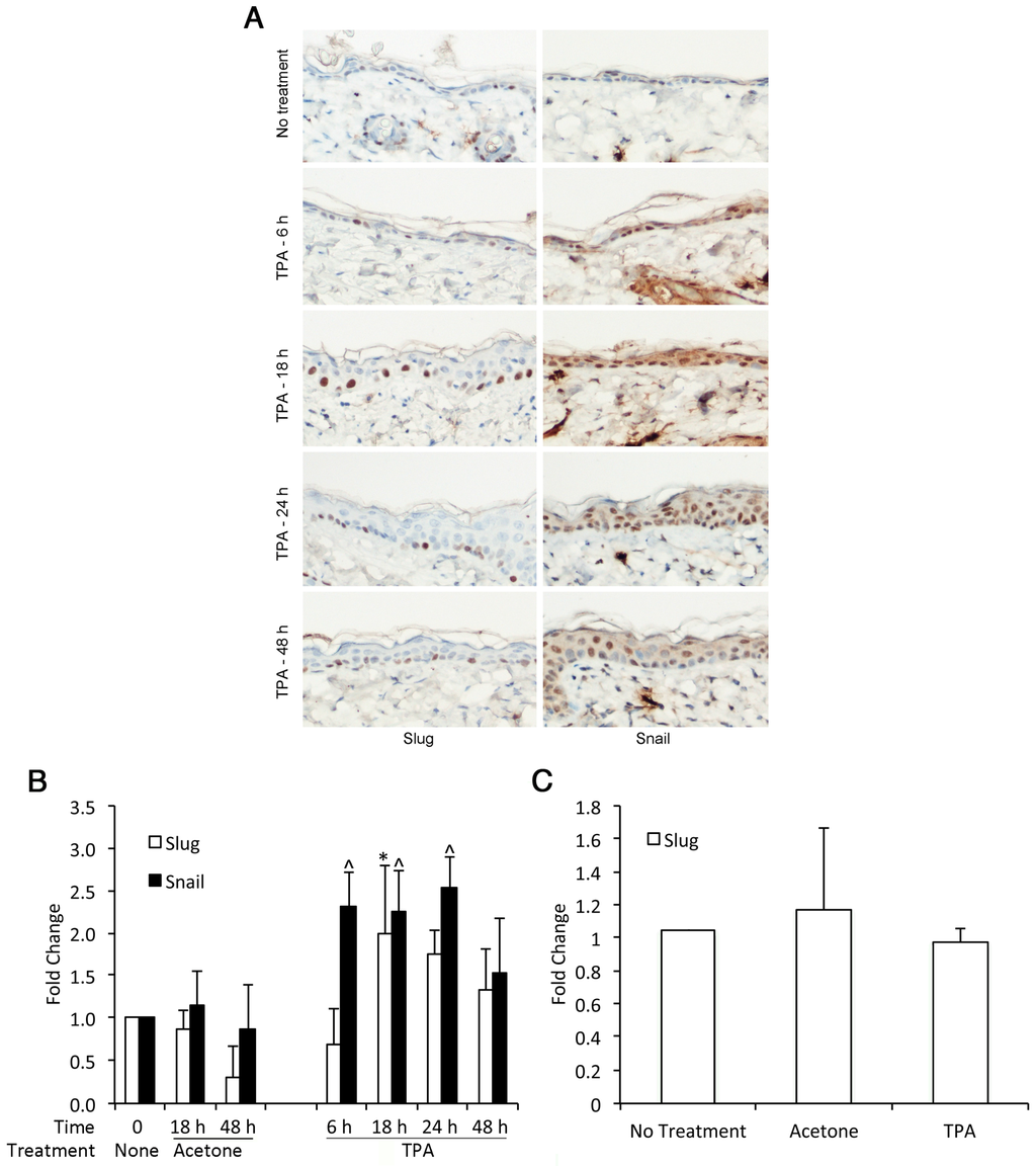 Jcm 05 00021 g002 1024