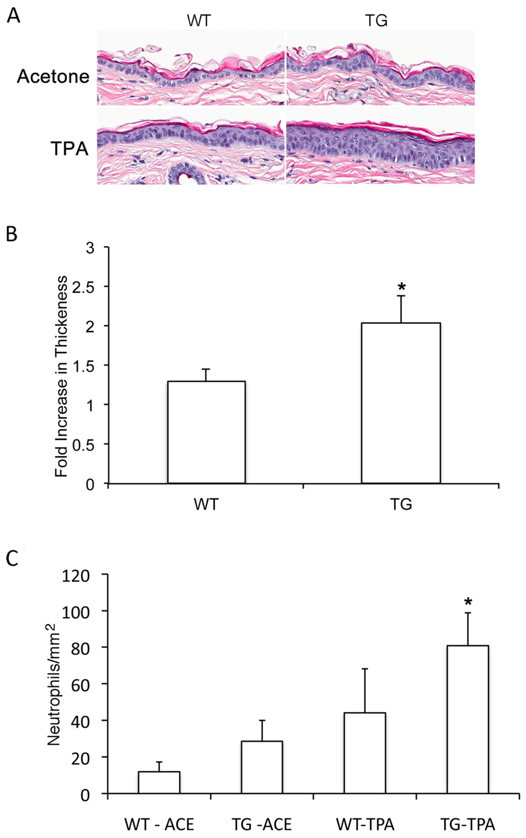 Jcm 05 00021 g003 1024
