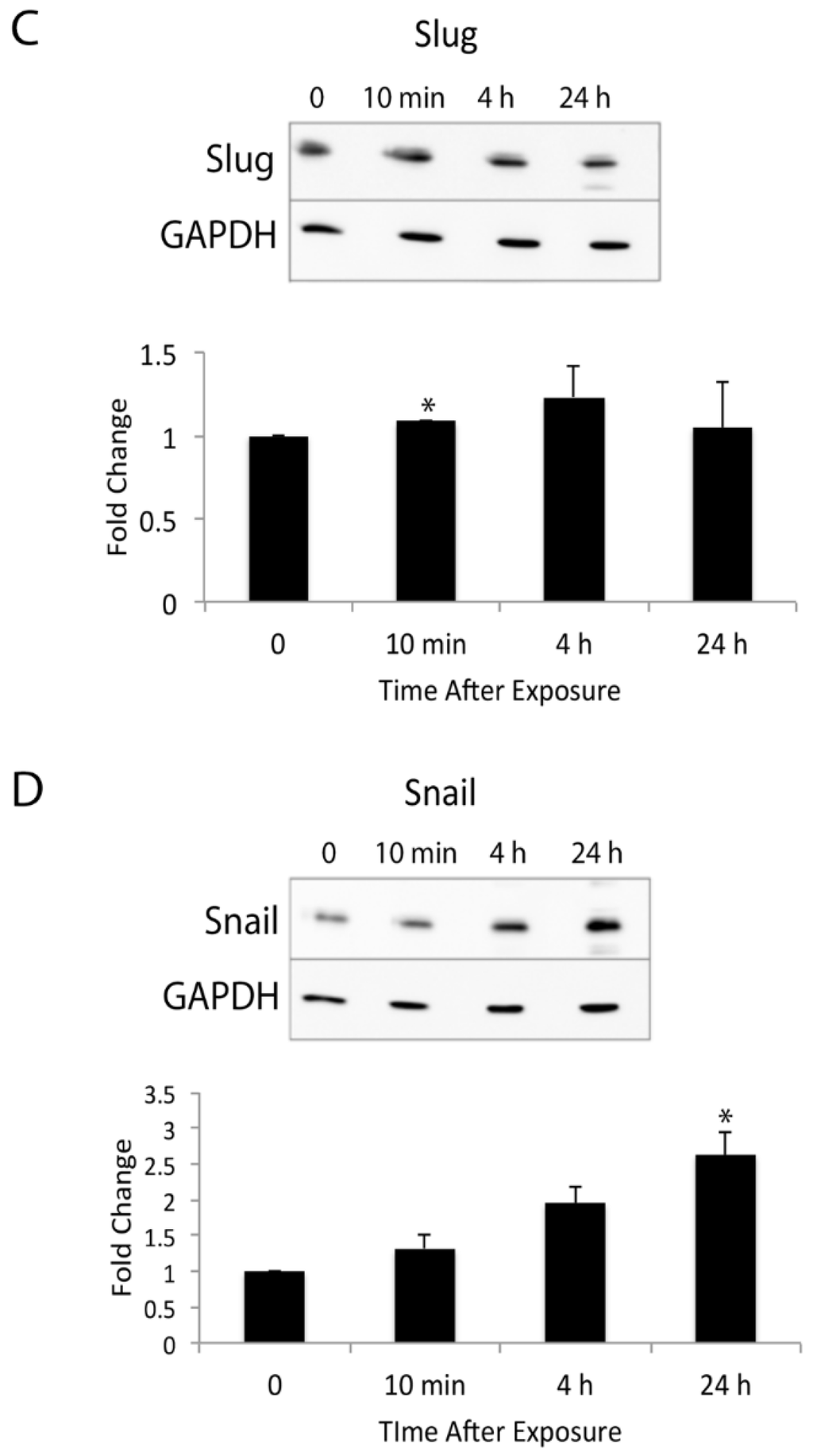 Jcm 05 00021 g005b 1024